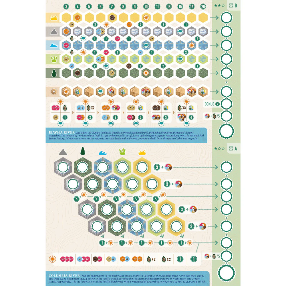 AEG: Cascadia: Rolling Rivers - Dynamic Dice Habitat Game - Image 4
