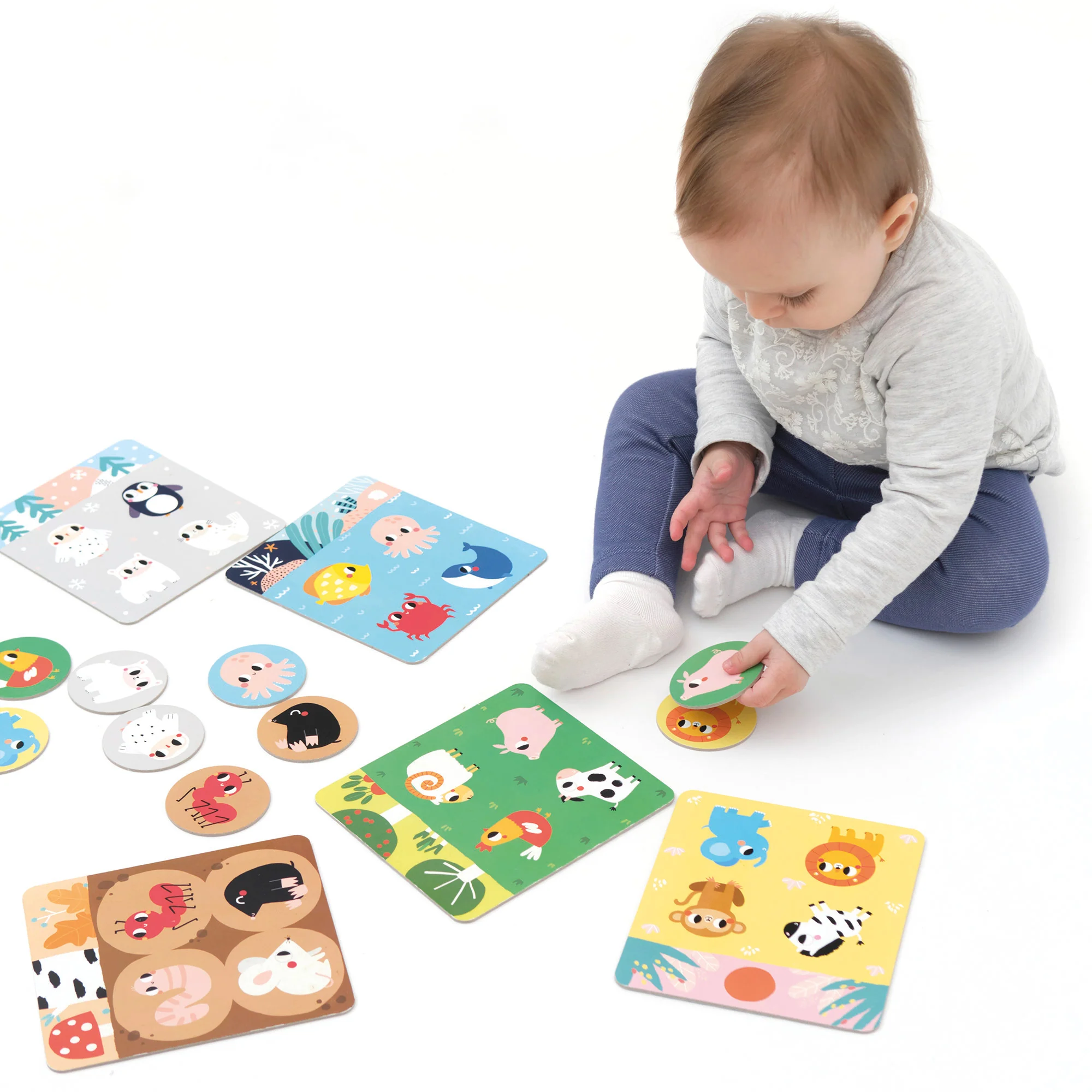 Banana Panda Let's Play Habitat Bingo - Animal Homes and Memory Skills - Image 4