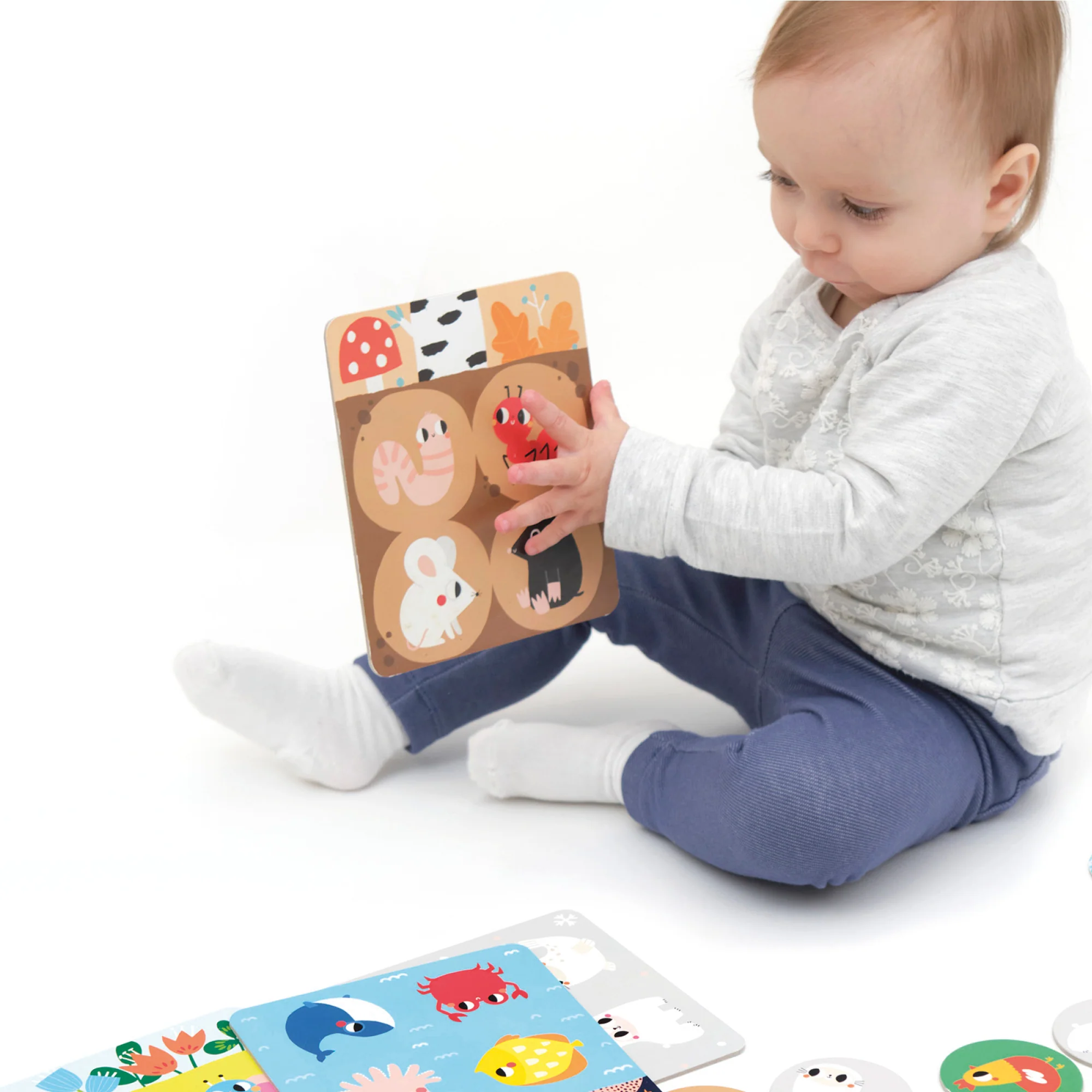 Banana Panda Let's Play Habitat Bingo - Animal Homes and Memory Skills - Image 5