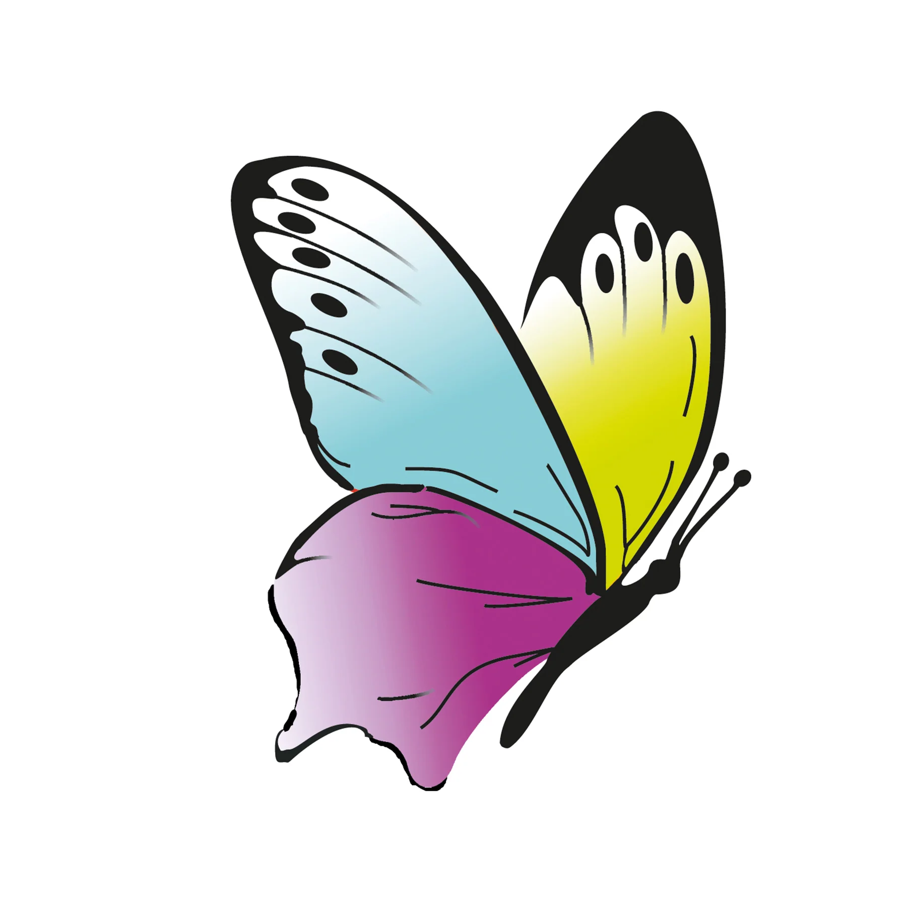 Beleduc Betty Fly Interactive Color Recognition Game - Image 5