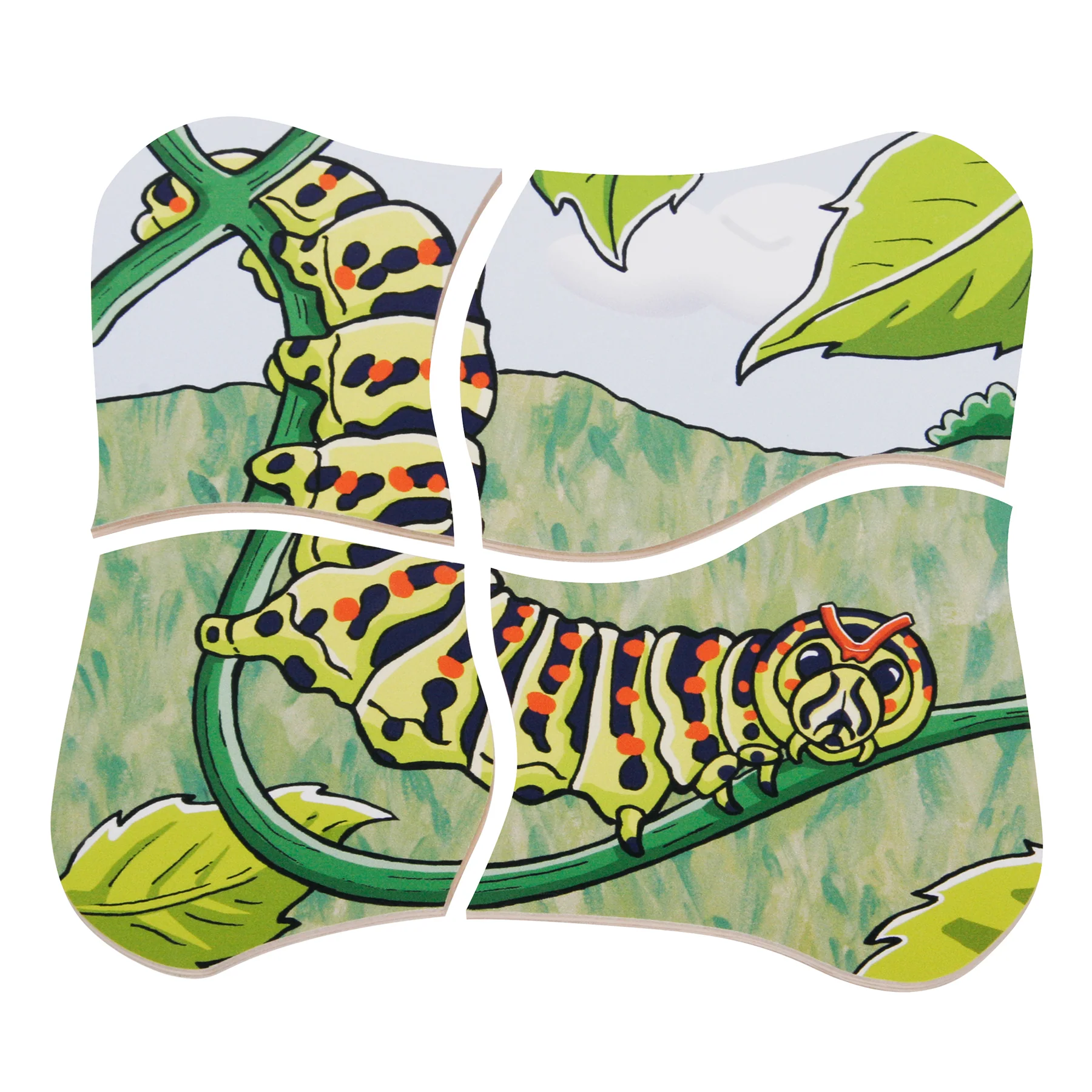 Beleduc Layer Puzzle - Transformative Butterfly Lifecycle - Image 4