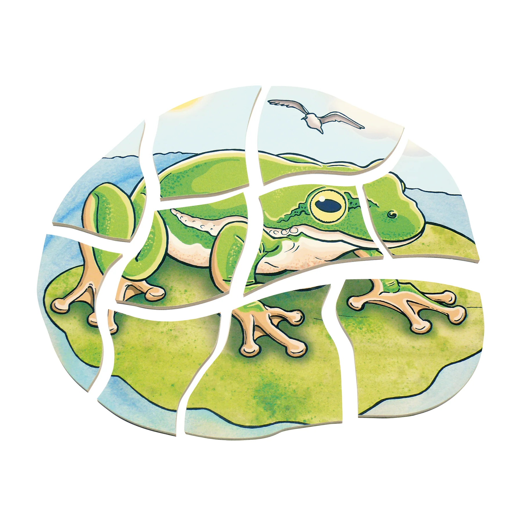 Beleduc Layer Puzzle - Frog Lifecycle - 5 Wooden Layers - 28 Pieces - Image 5