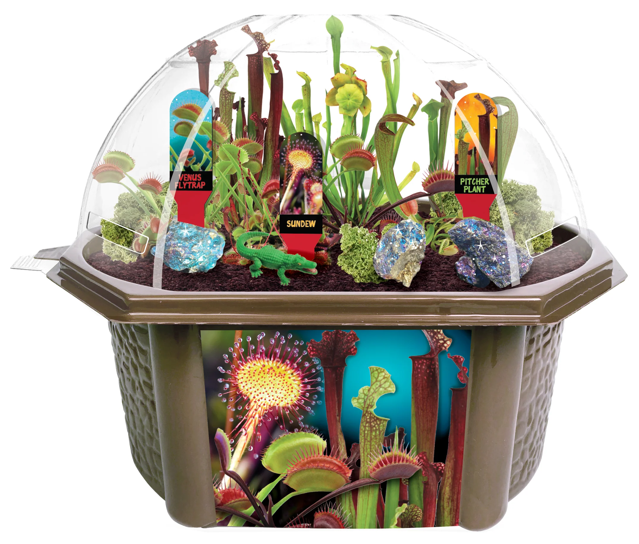 Toys By Nature Carnivorous Creatures Biosphere Terrarium Kit
