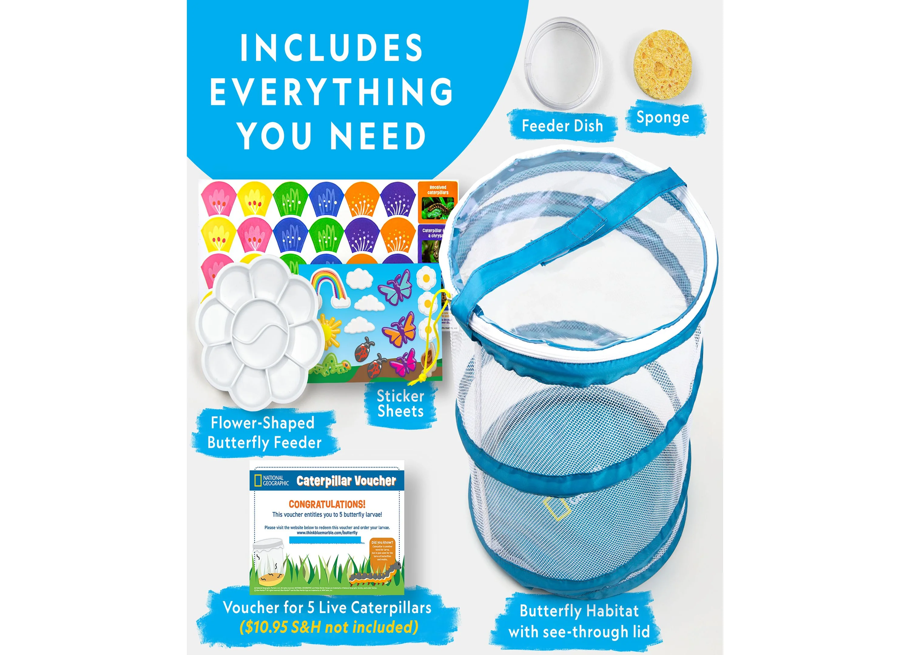 National Geographic Butterfly Growing Kit – Discover Metamorphosis - Image 2