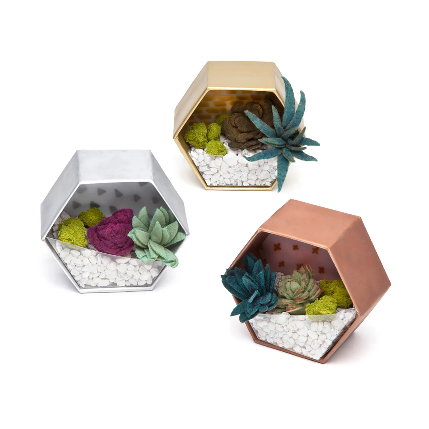 Craft Crush Mini Terrariums Kit - Create Felt Succulent Displays - Image 5