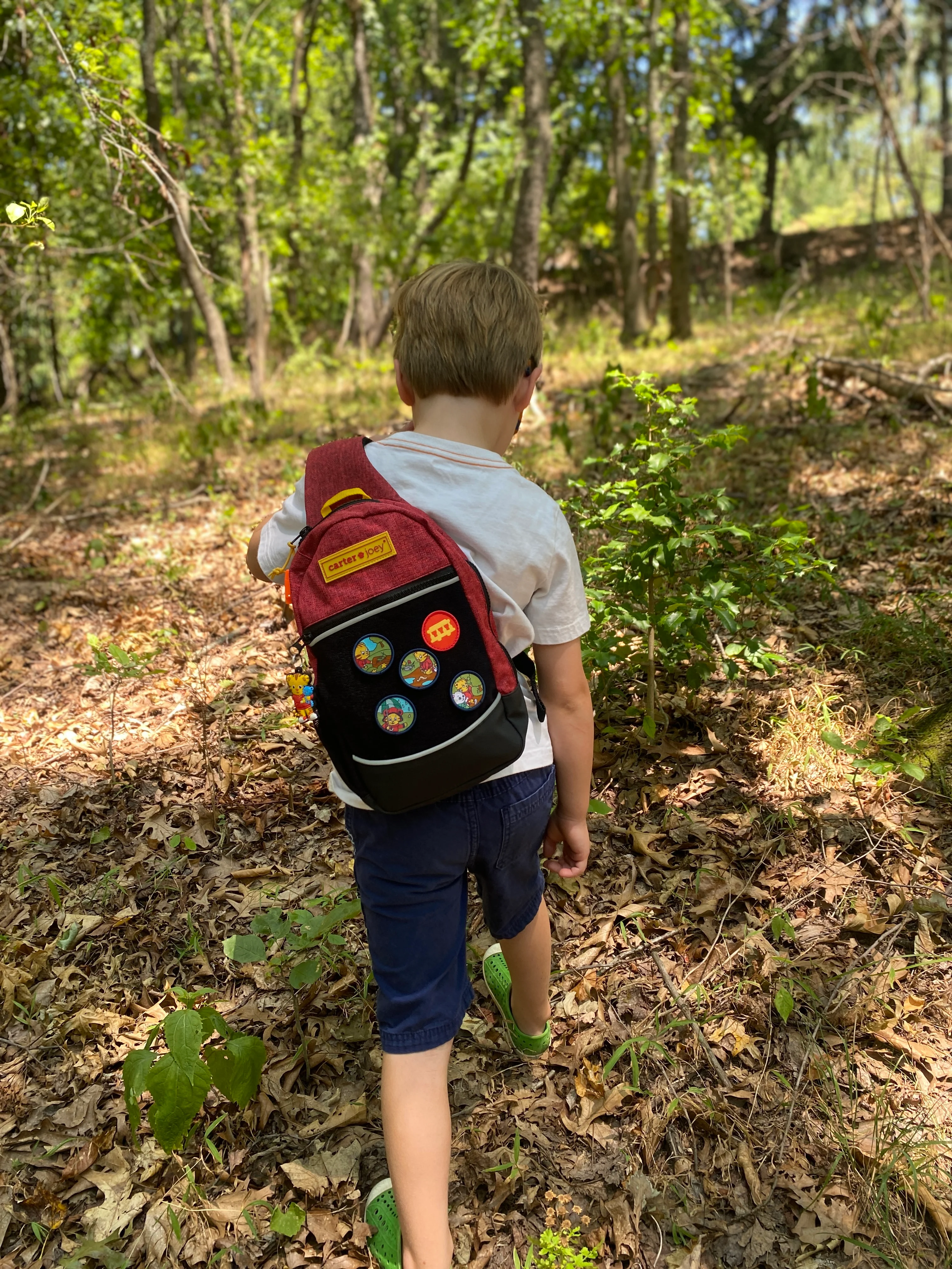 Daniel Tiger's Neighborhood x Carter Joey Nature Explorer Patches - Image 6