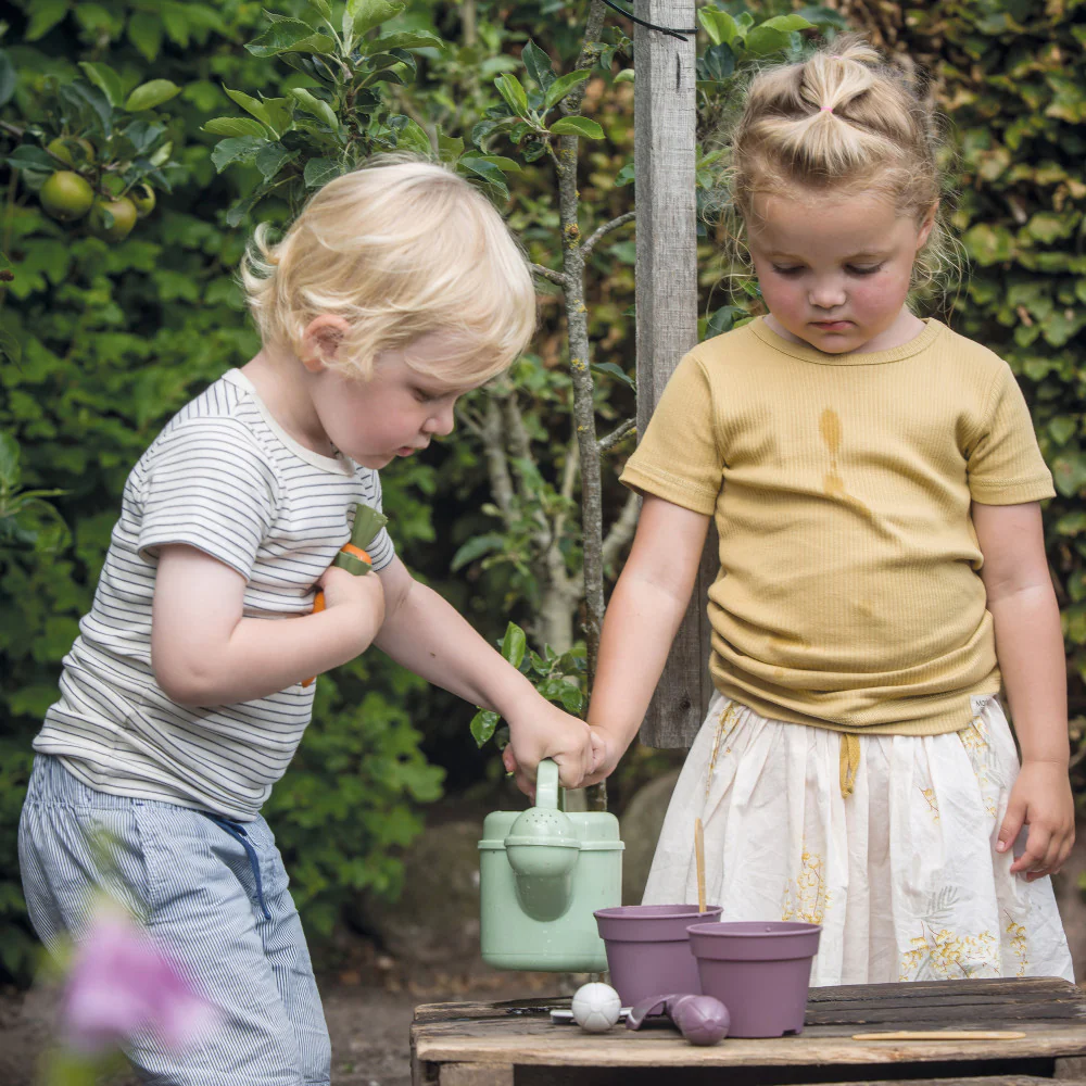 Dantoy Green Garden Planting Set - Eco-Friendly Gardening Adventure for Toddlers - Image 5