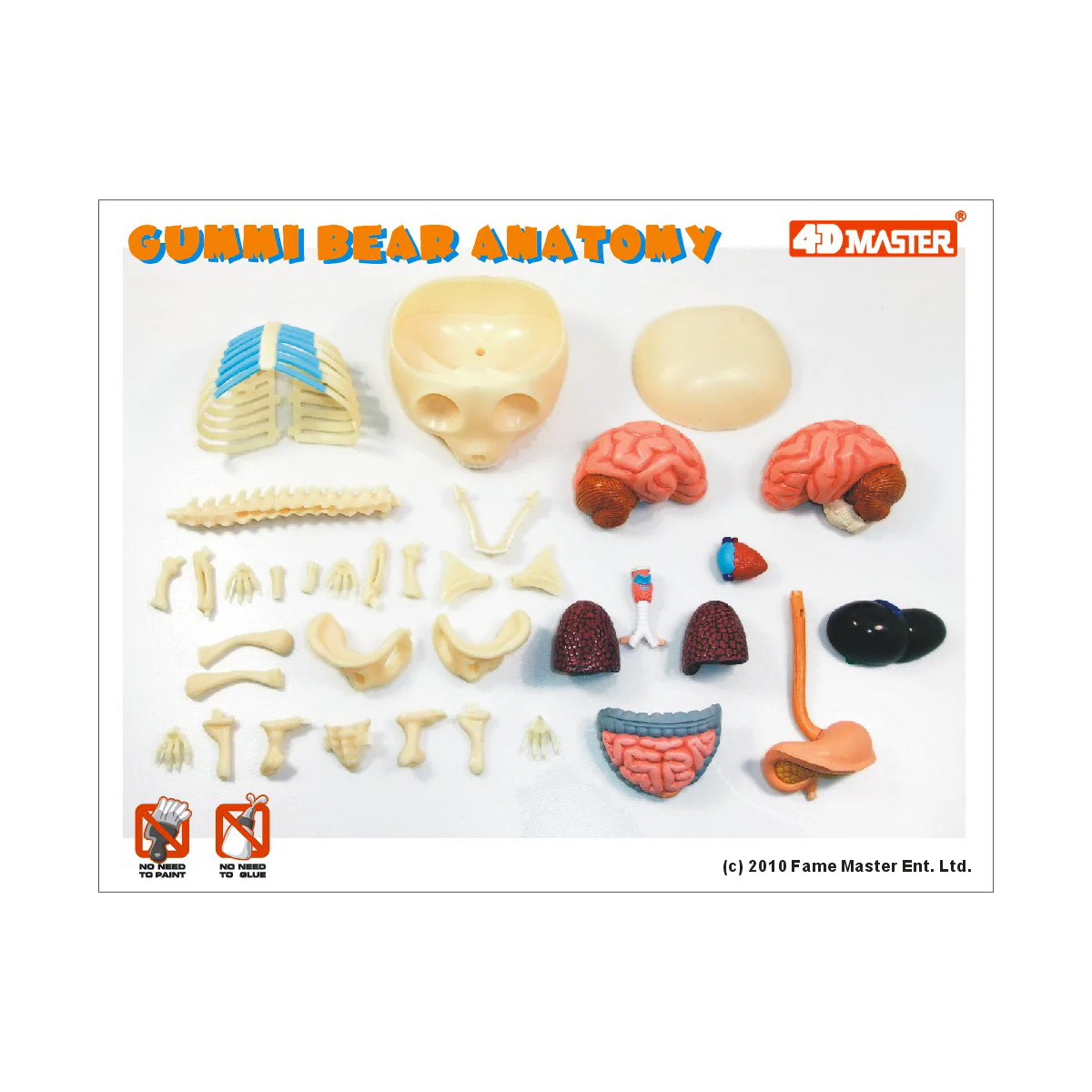 Jason Freeny Funny Anatomy Gummi Bear Model - Transparent Educational Toy - Image 3