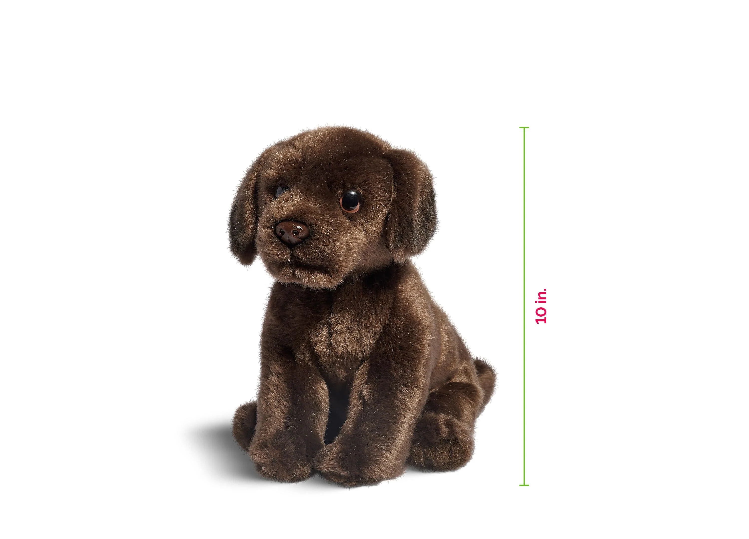 Geoffrey's Toy Box 10-inch Plush Labrador Puppy - Exclusive to Macy's - Image 6