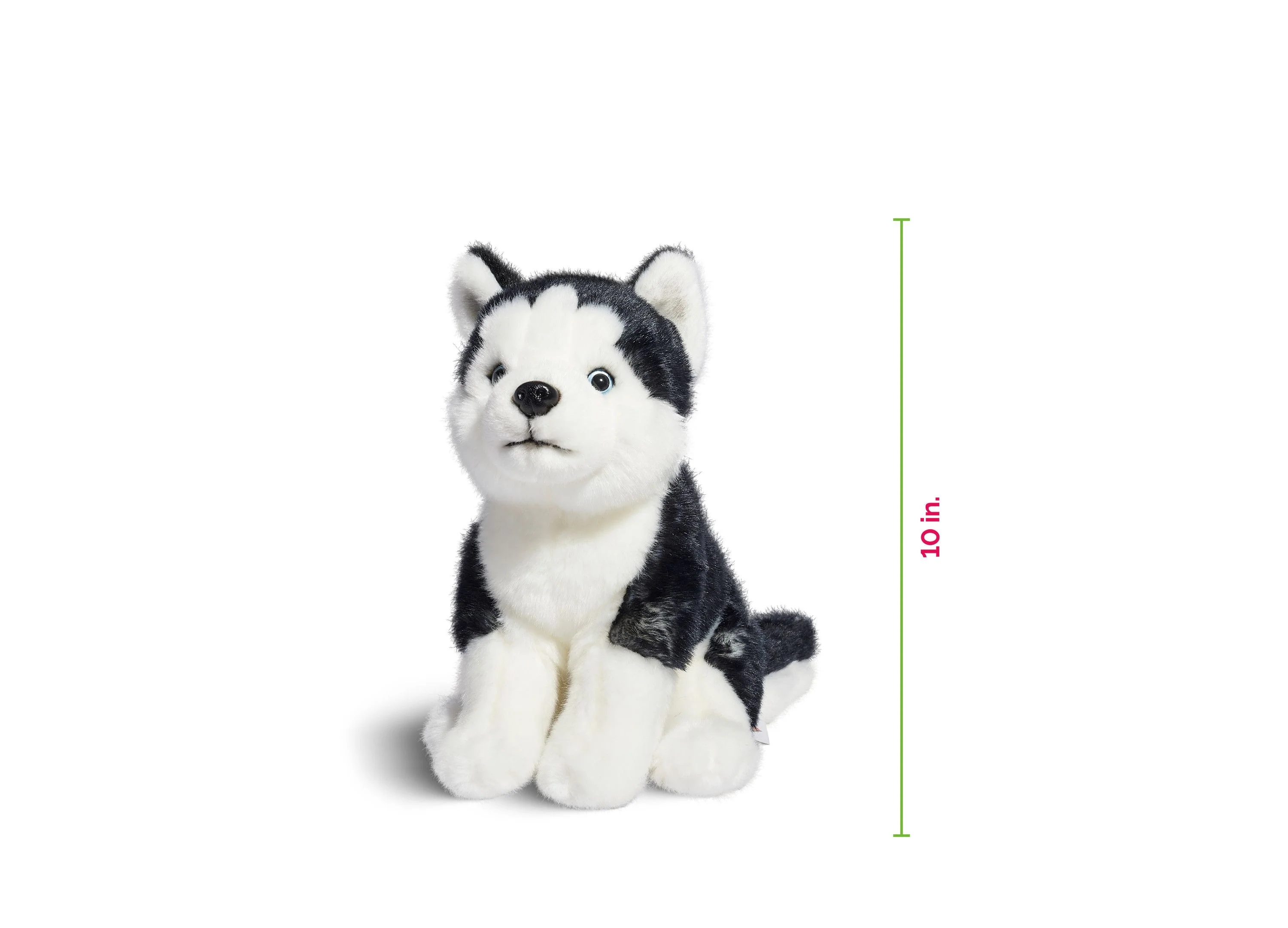 Geoffrey's Toy Box 10 inch Siberian Husky Plush Puppy - Exclusive at Macy's - Image 5