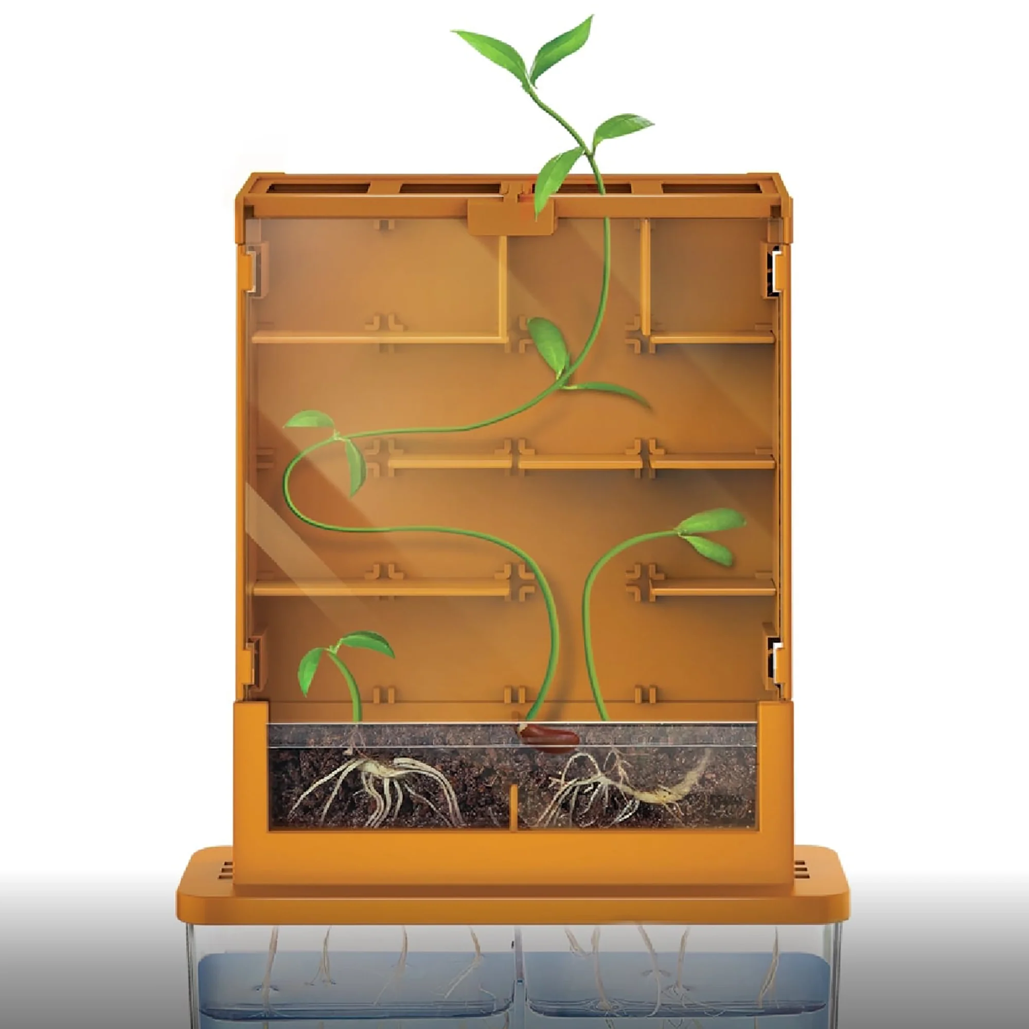 Green Science Grow-A-Maze Plant Biology Experiment Kit - Image 2