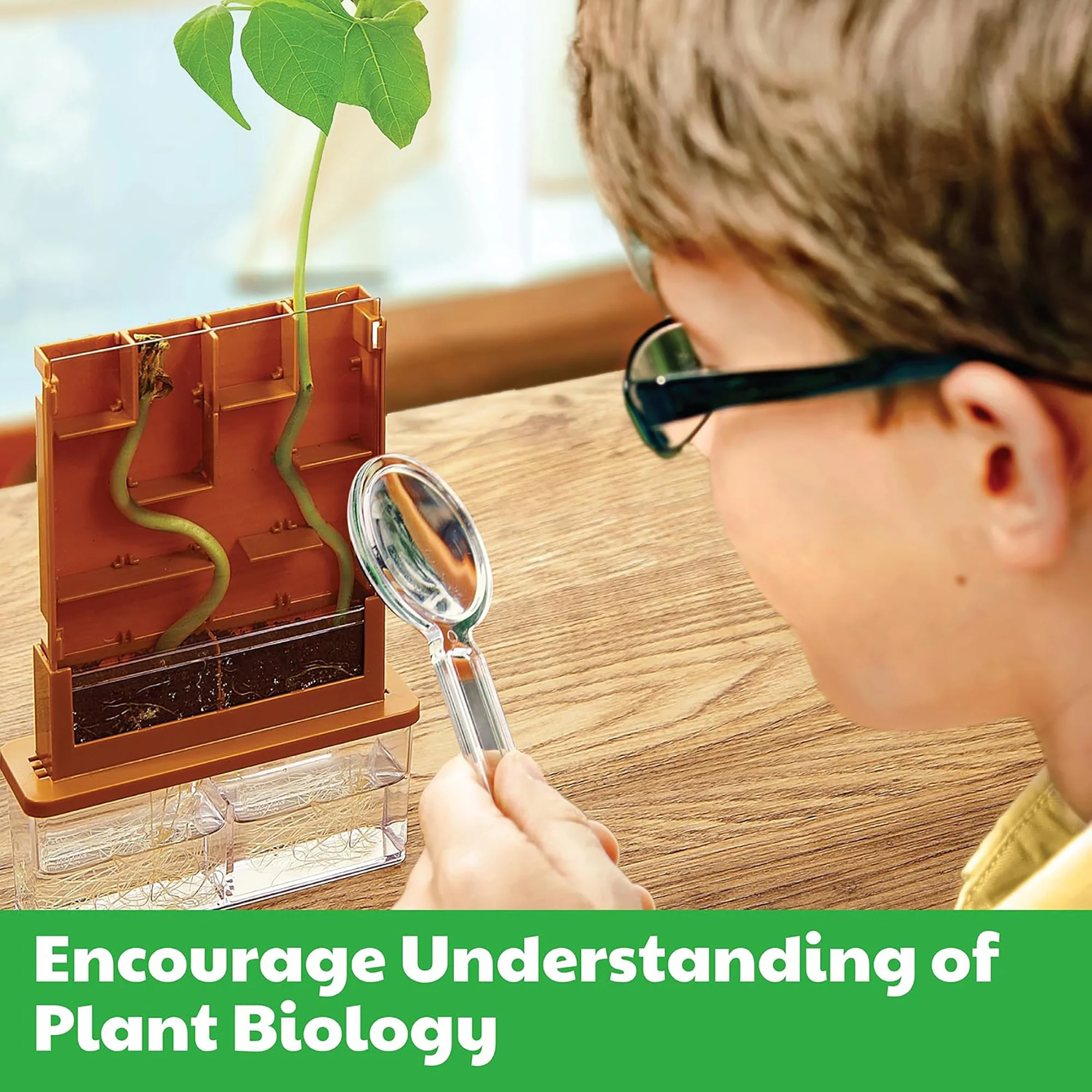 Green Science Grow-A-Maze Plant Biology Experiment Kit - Image 4