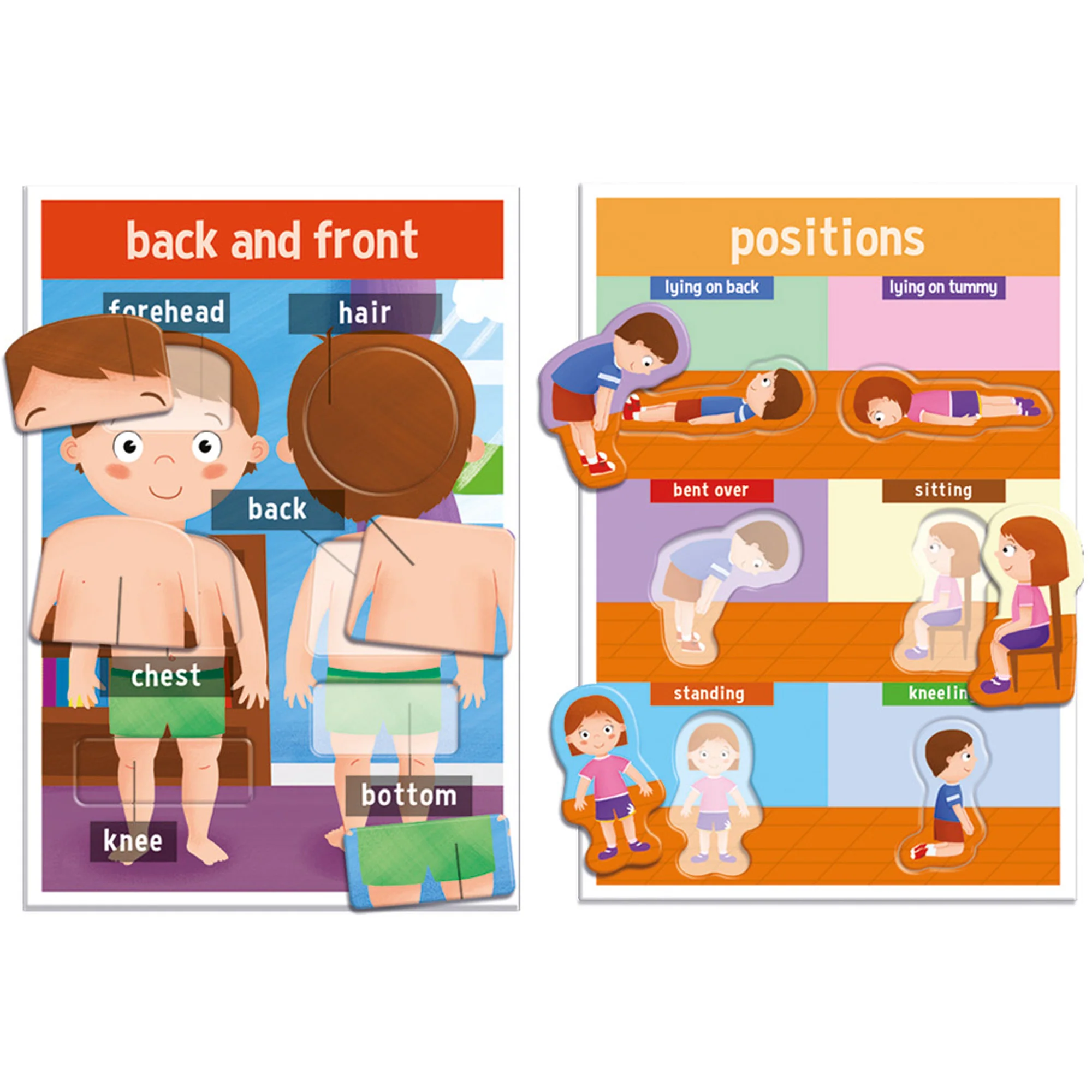 Headu My First Human Body Game - Discover Anatomy Fun - Image 3