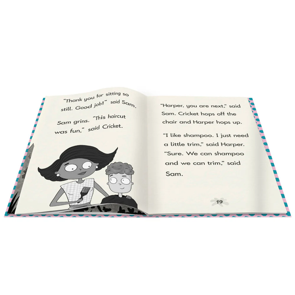 Junior Learning Cricket the Kid - Decodable Chapter Books - Multicolor Boxed Set - Image 5