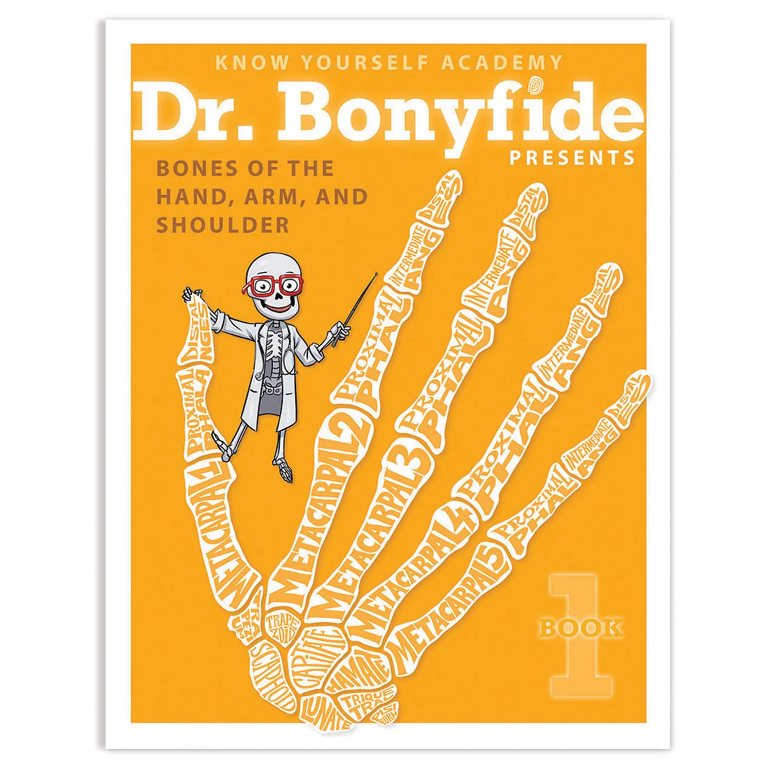 Know Yourself 4 Book Set: Dr. Bonyfide's Guide to the Human Skeleton - Image 3