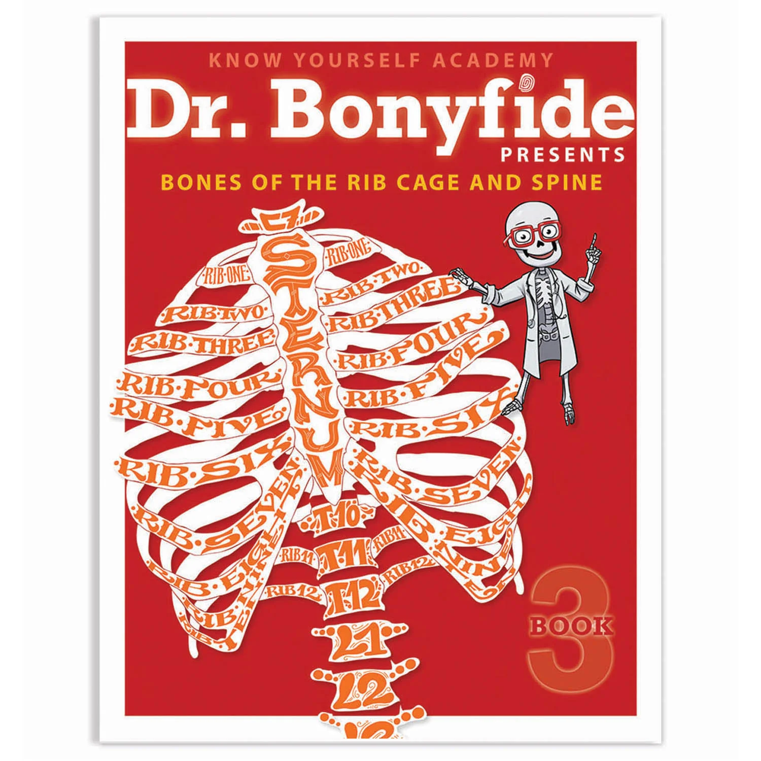 Know Yourself 4 Book Set: Dr. Bonyfide's Guide to the Human Skeleton - Image 5