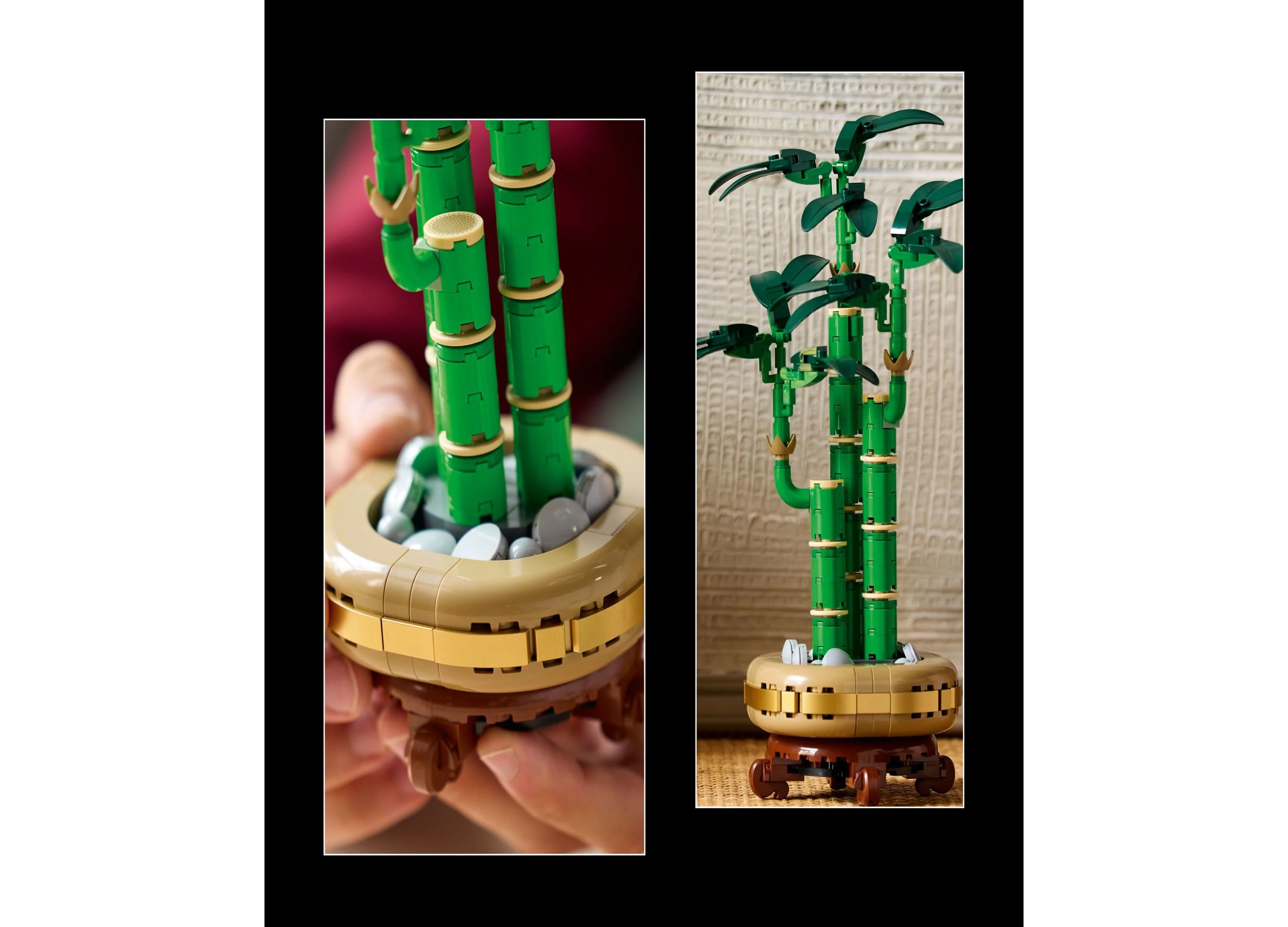 LEGO Botanicals Lucky Bamboo Building Set 10344, 325 Pieces - Image 2