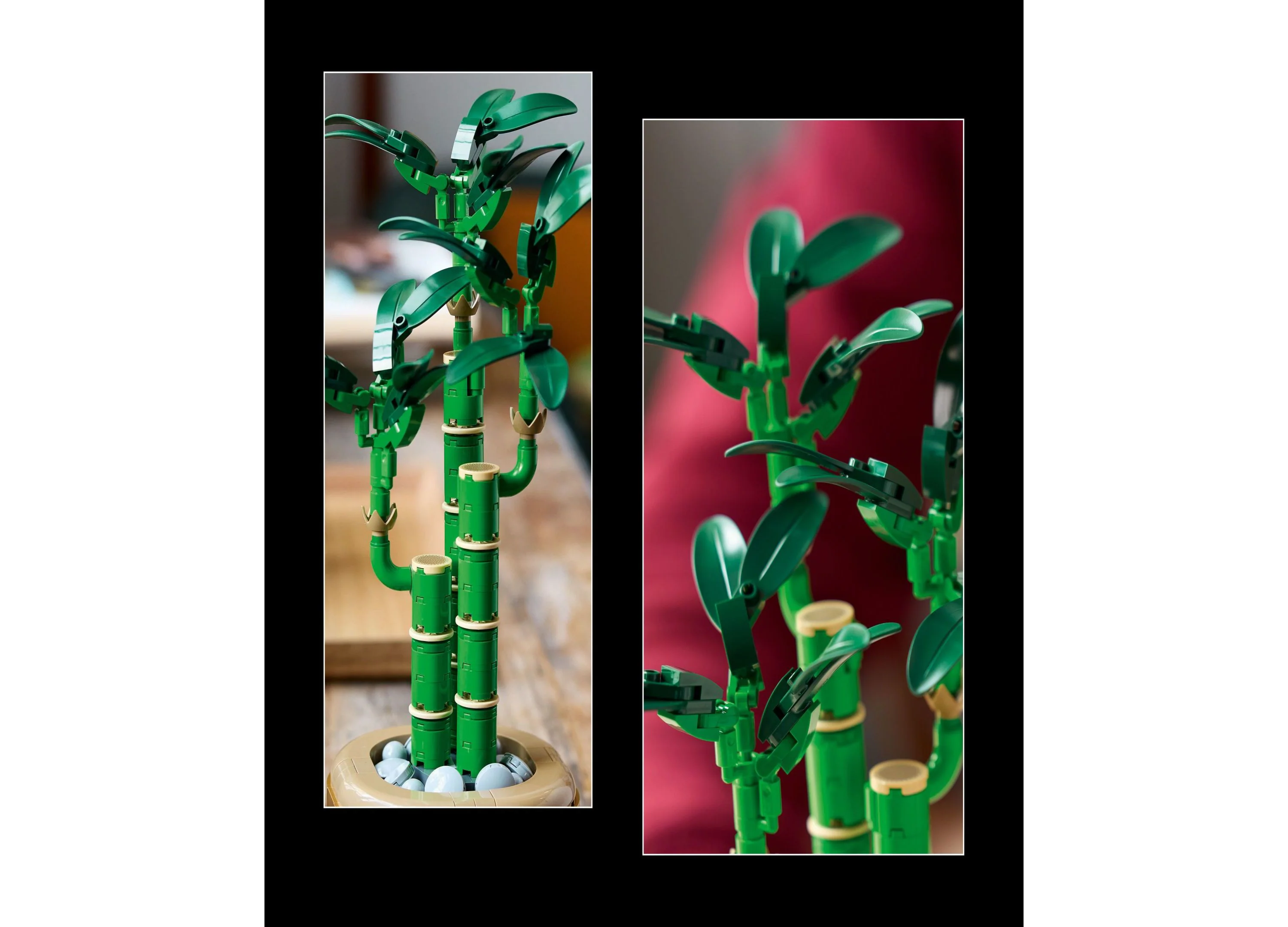 LEGO Botanicals Lucky Bamboo Building Set 10344, 325 Pieces - Image 3