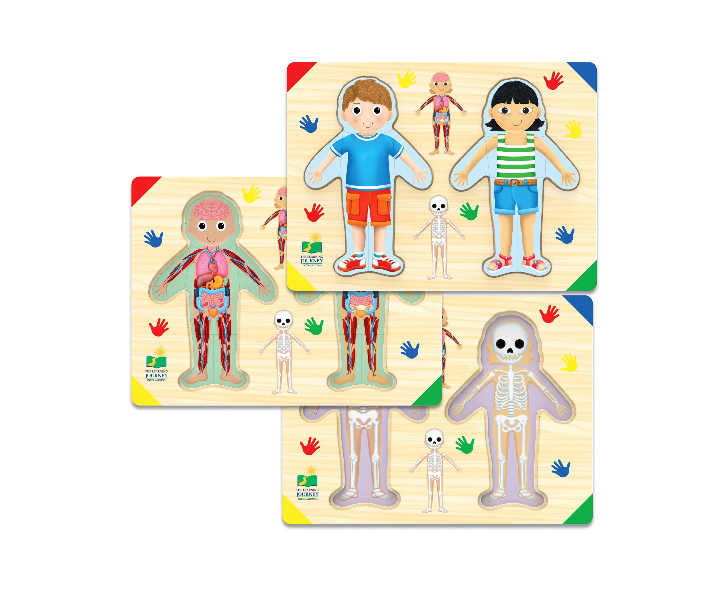 Lift & Learn Anatomy Adventure Puzzle - Inside of Me - 28 Pcs - Image 2
