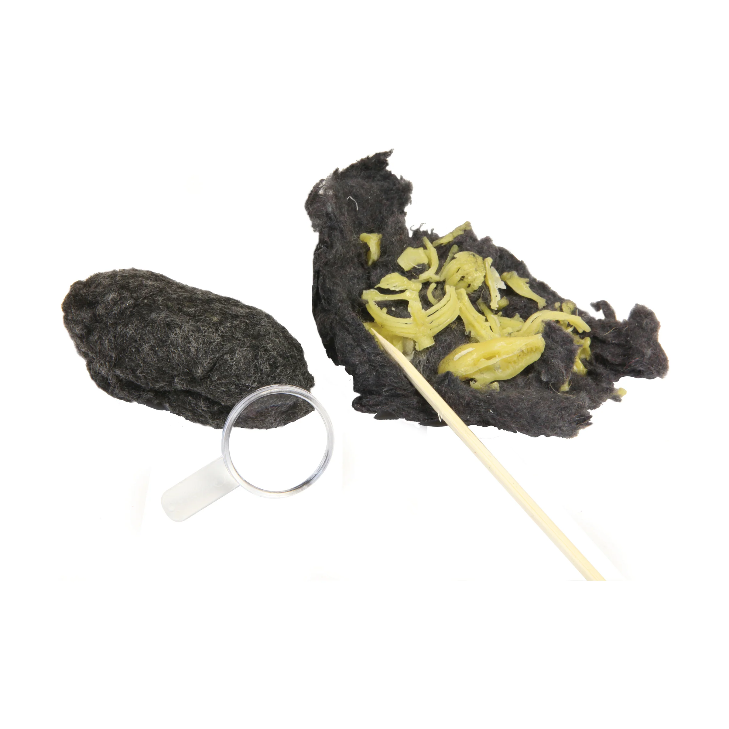 Exploratory Owl Puke Dissection Science Kit - Image 2