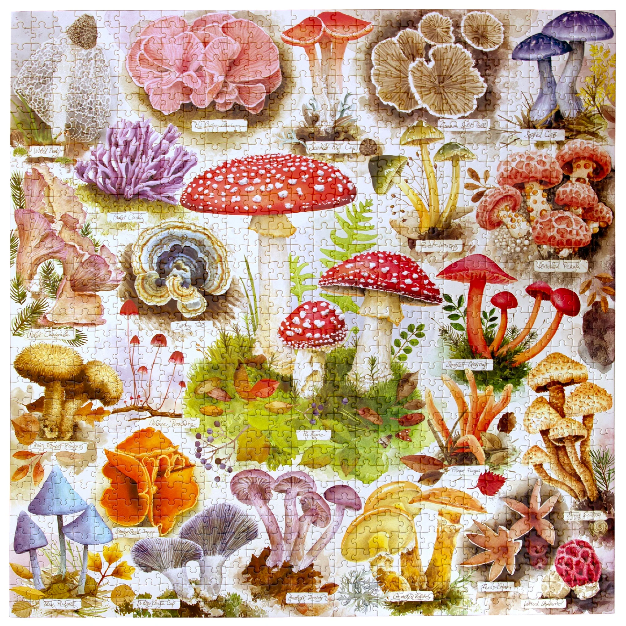 Bountiful Mushrooms 1000-Piece Jigsaw Puzzle - Image 2