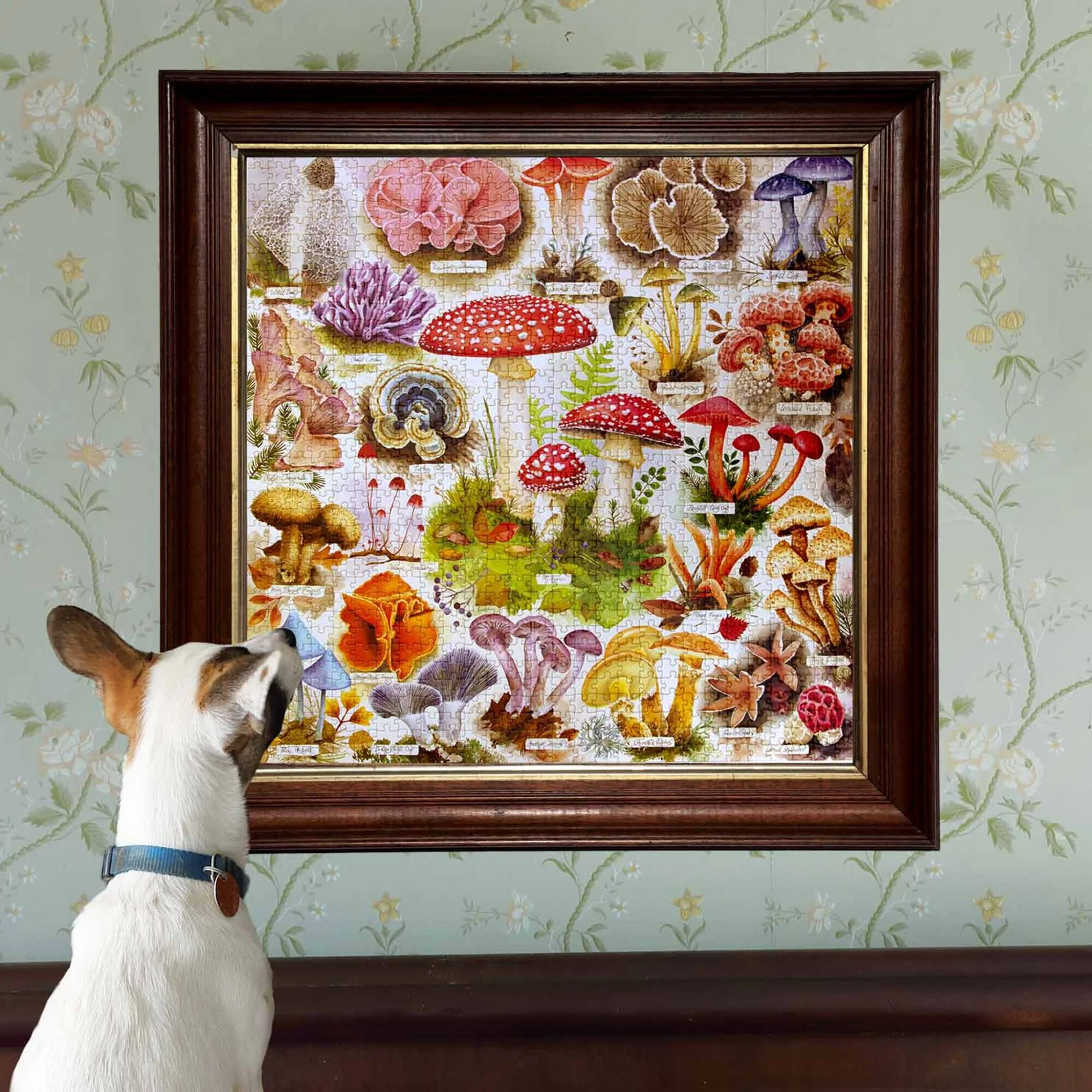 Bountiful Mushrooms 1000-Piece Jigsaw Puzzle - Image 5