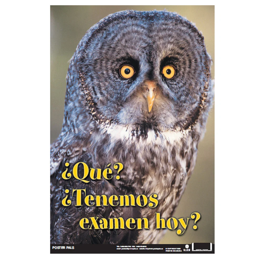 Poster Pals Spanish 4-Piece Educational Poster Set - Image 3