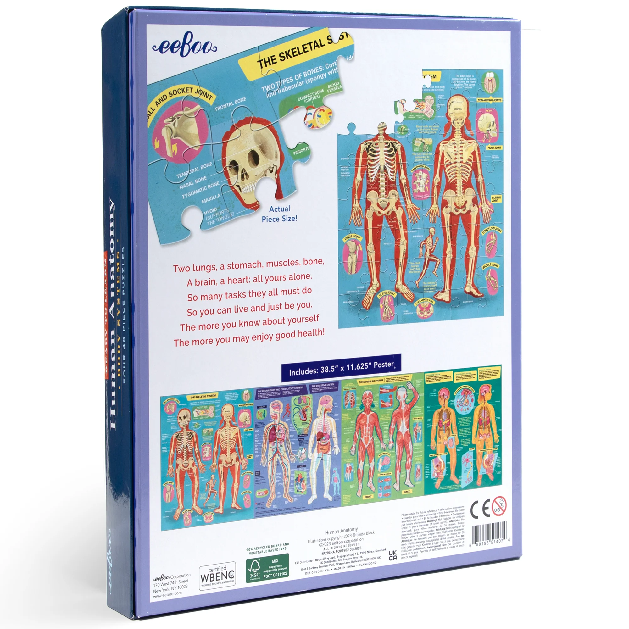 Anatomical Explorer 4-Pack Human Anatomy Jigsaw Puzzles - 48 pc Each