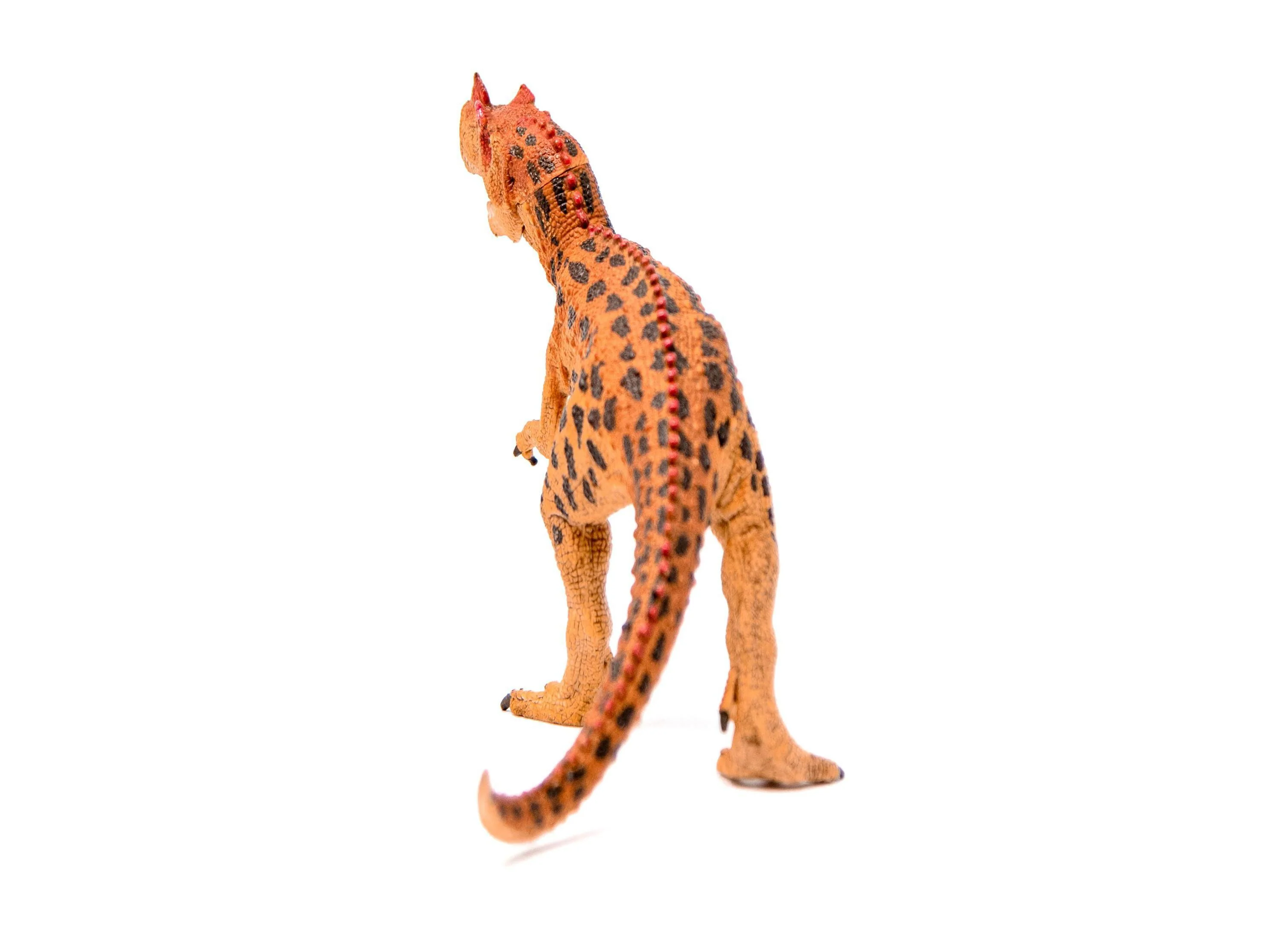 Schleich DINOSAURS Ceratosaurus Detailed Action Figure - Image 5