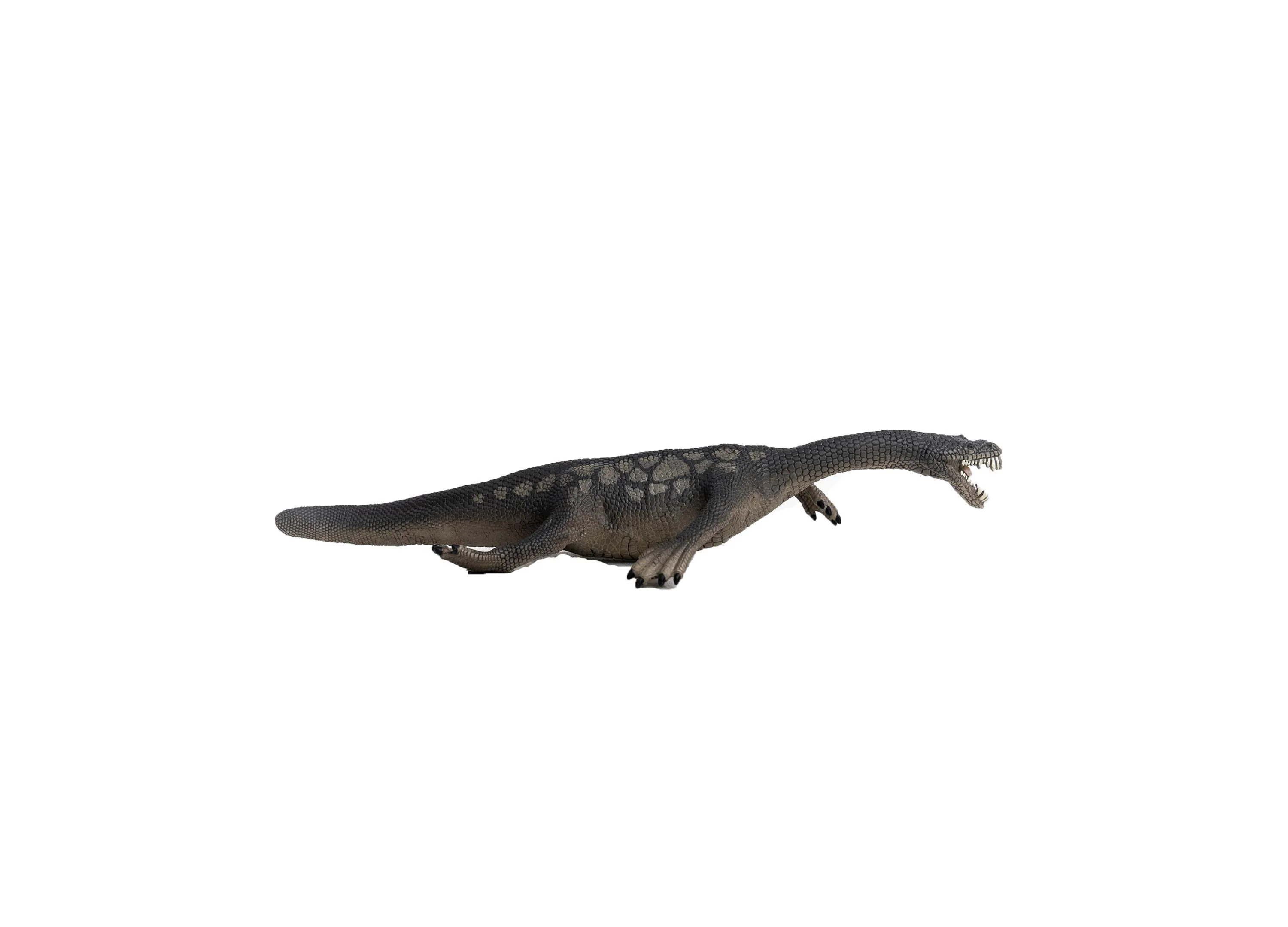 Schleich Dinosaurs Nothosaurus 8.7 Inch Action Figure - Image 3