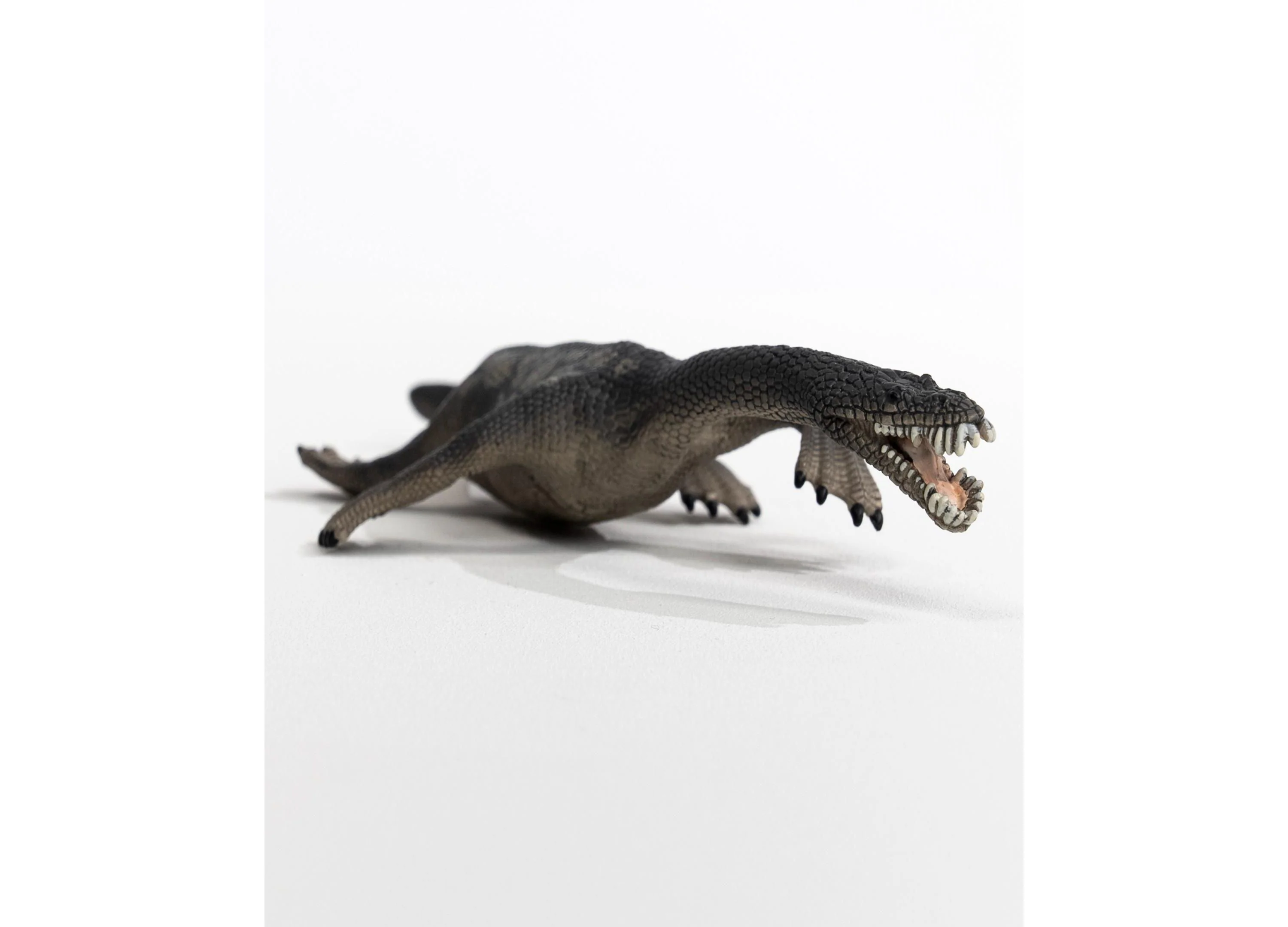 Schleich Dinosaurs Nothosaurus 8.7 Inch Action Figure - Image 4