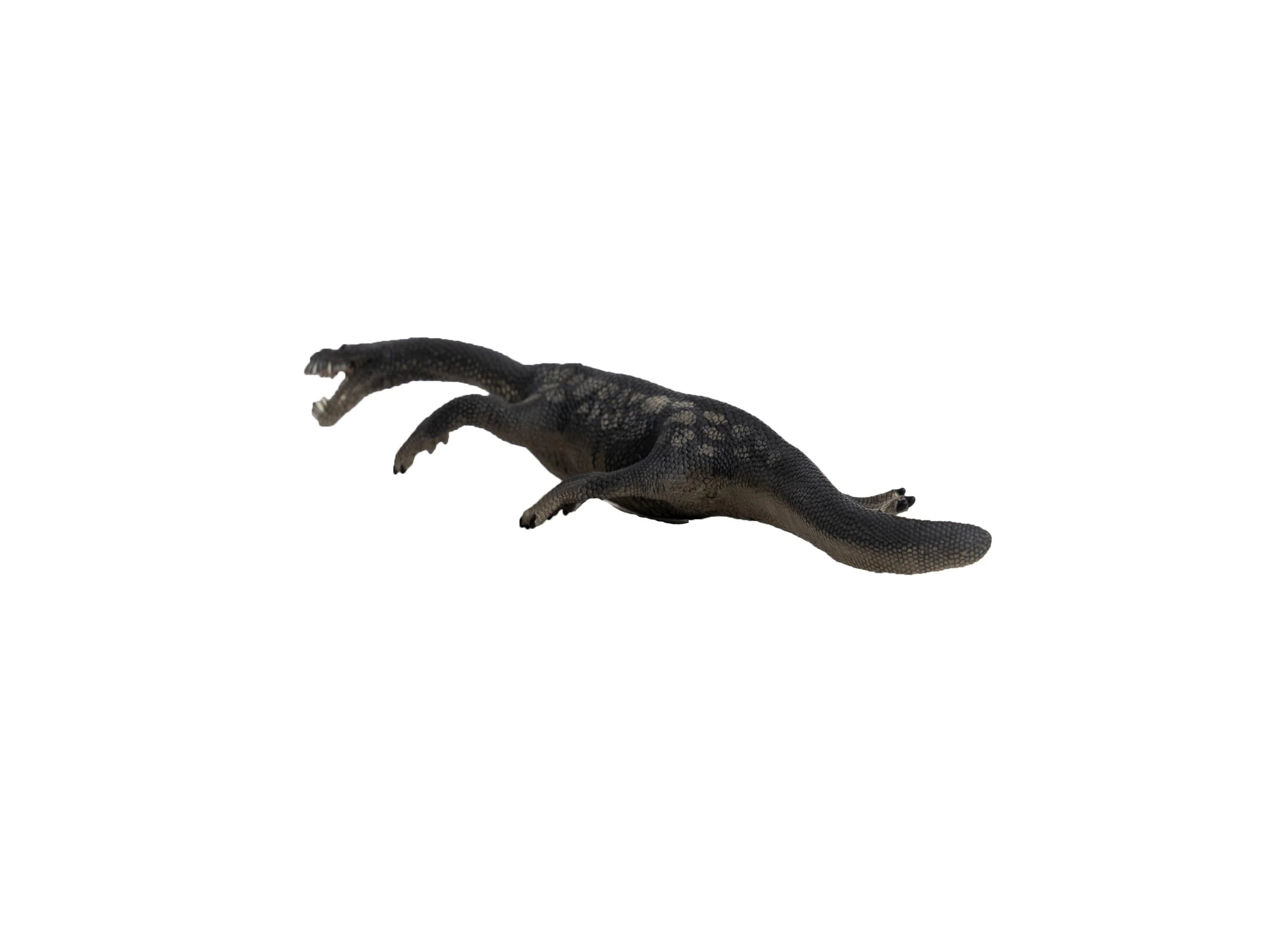 Schleich Dinosaurs Nothosaurus 8.7 Inch Action Figure - Image 6