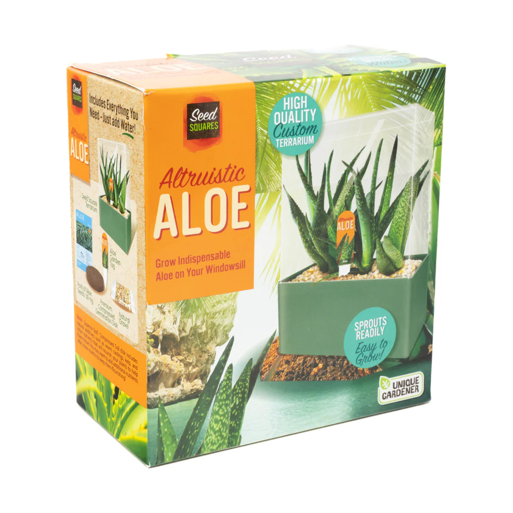 Unique Gardener Altruistic Aloe Seed Square Terrarium Kit - Image 2