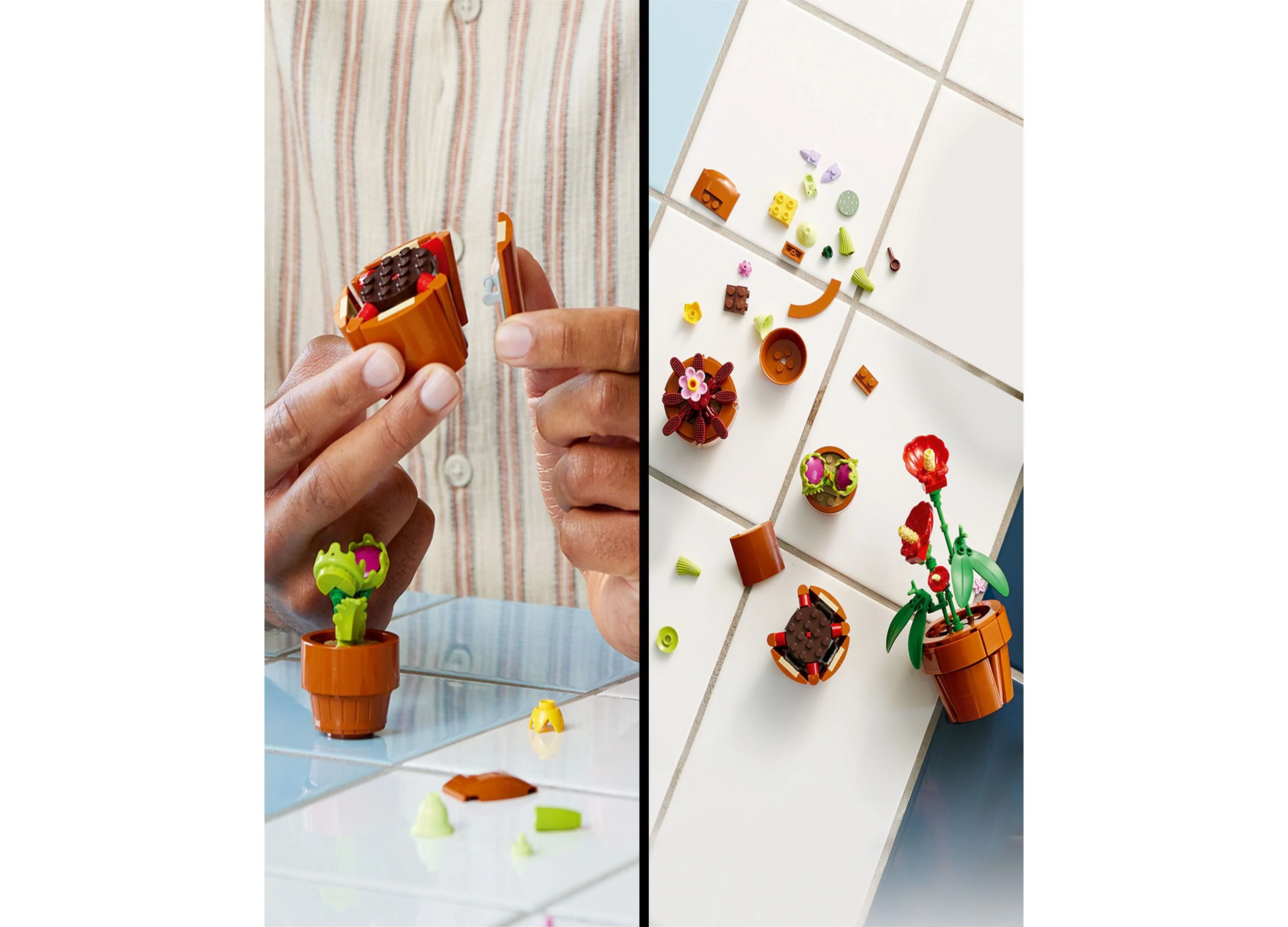 LEGO Icons Tiny Plants 758 Piece Display Set - Model 10329 - Image 5