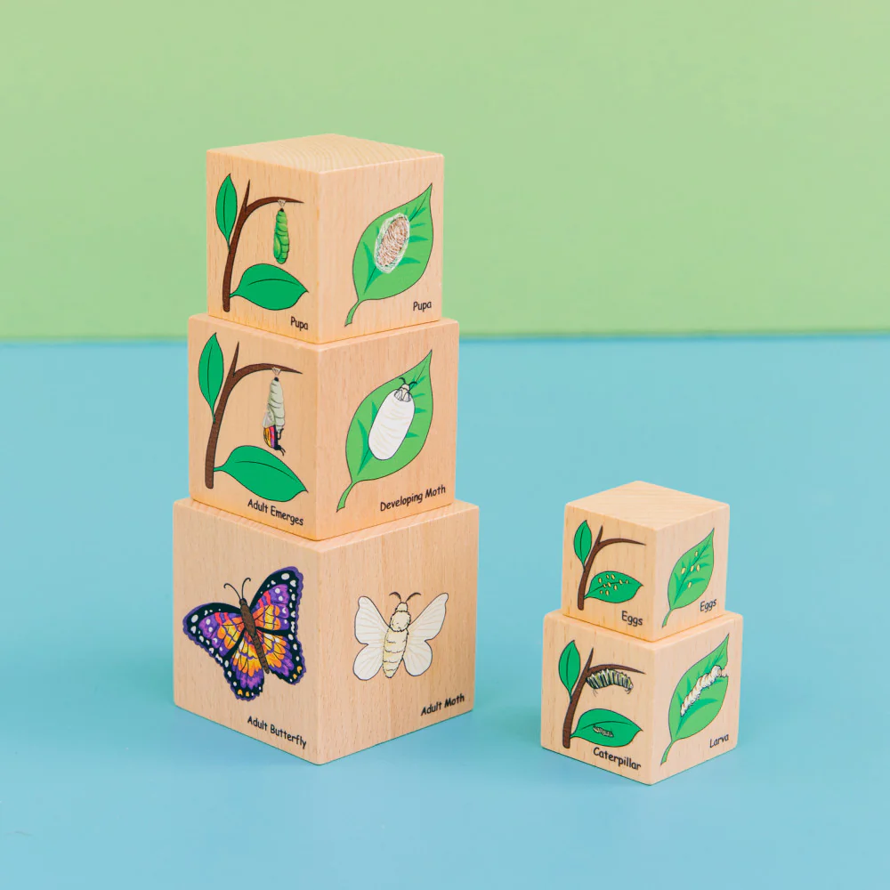 The Freckled Frog Lifecycle Wooden Blocks - Moth, Butterfly, Chicken, Frog Stages - Image 2