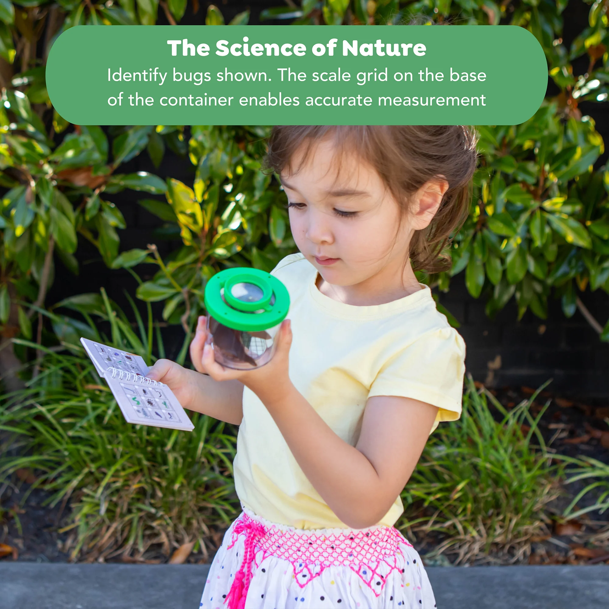 Tiger Tribe Bug Spotter STEM Kit, Insect Collector Box with Magnifying Lid, Ages 4+ - Image 4