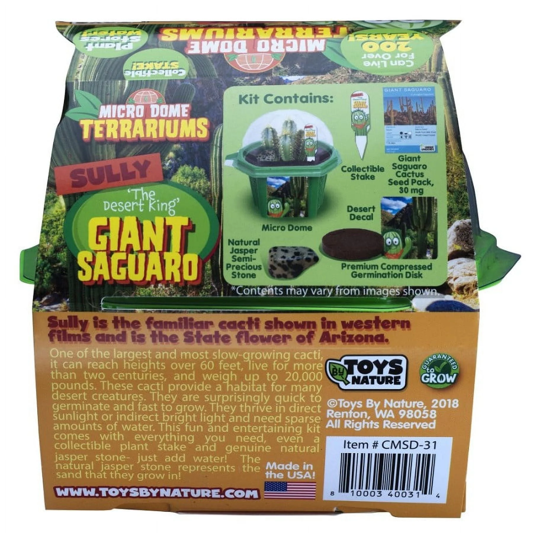 Toys By Nature Sully the Desert King Giant Saguaro Cactus Terrarium Kit - Image 2