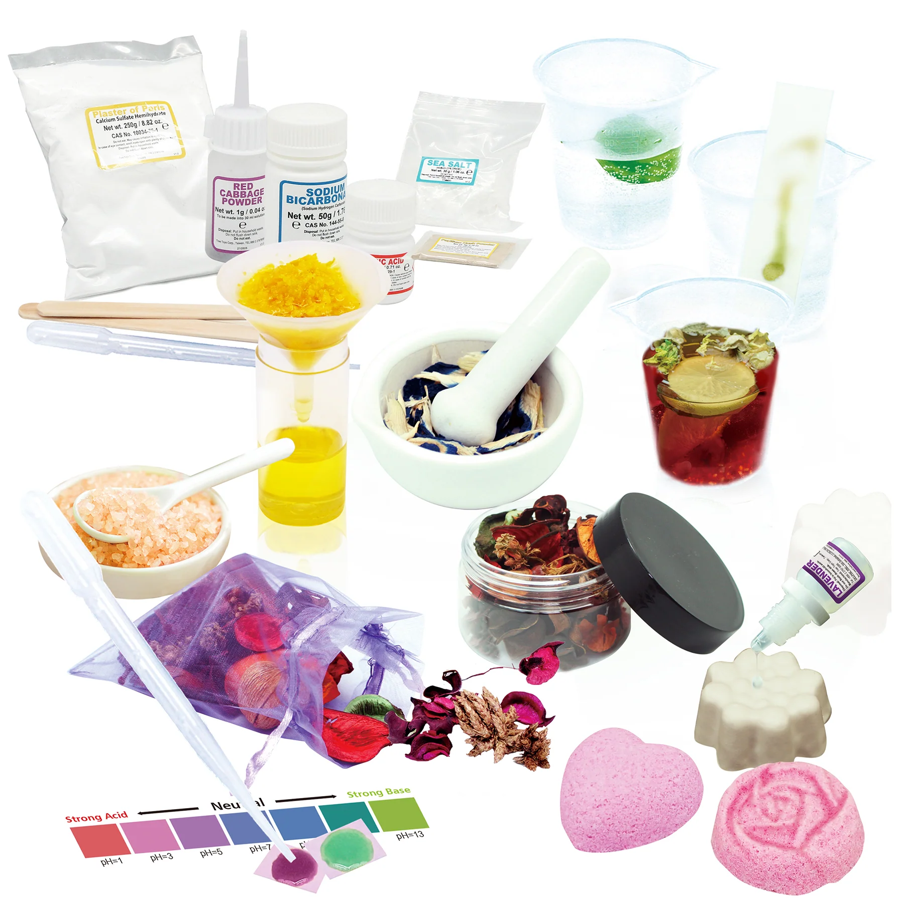 Wild Environmental Science Natural Health and Well-Being STEM Kit - Create Spa Essentials - Image 3