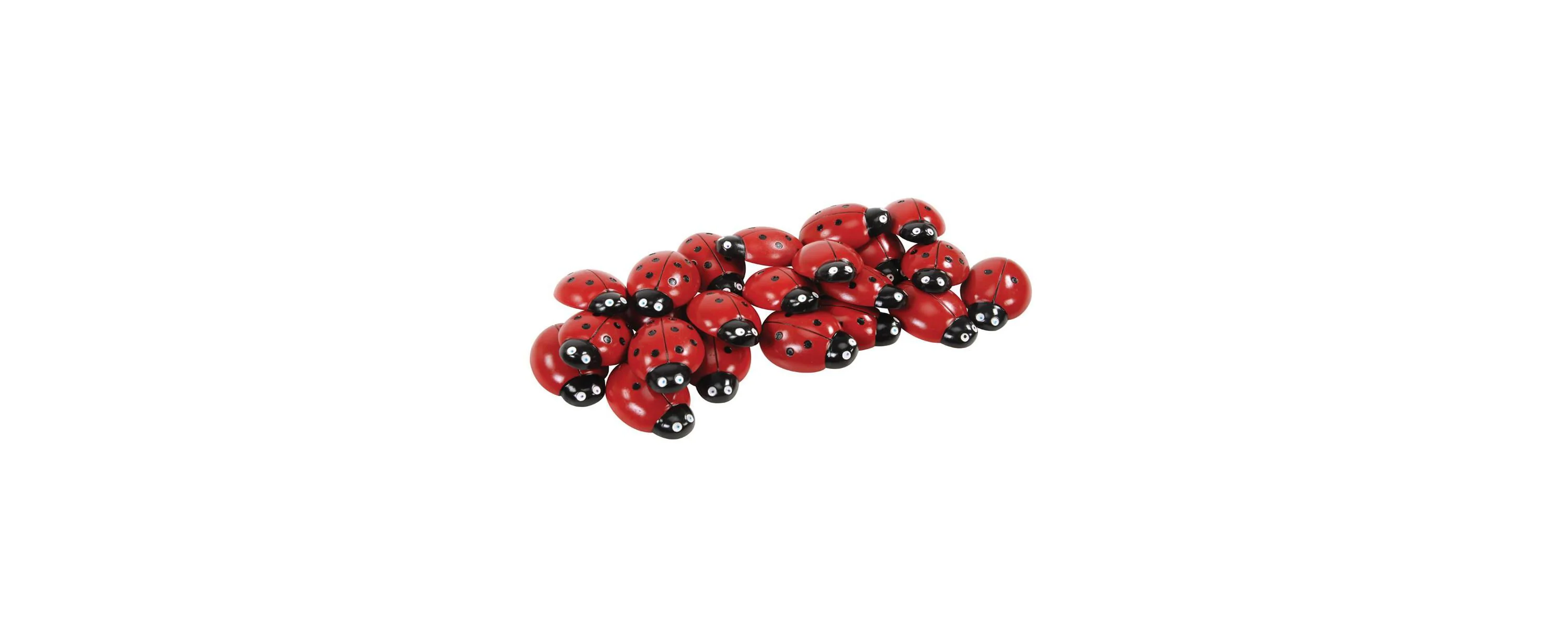 Yellow Door Educational Ladybug Counting Set - Colorful Math Learning Toy for Kids - Pack of 22 - Image 3