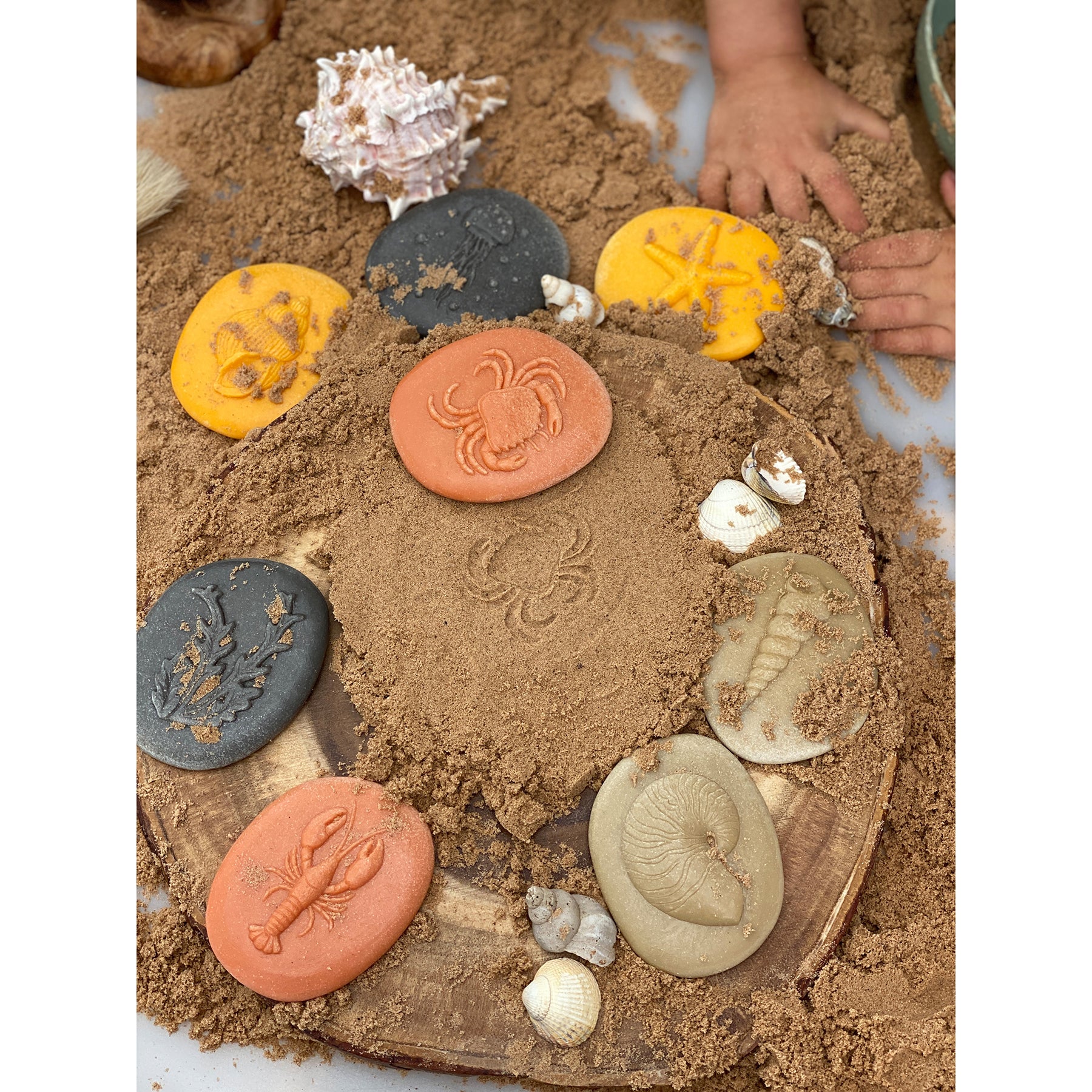 Yellow Door Let's Investigate - Seashore Exploration - Set of 8 Stone Figures - Image 5