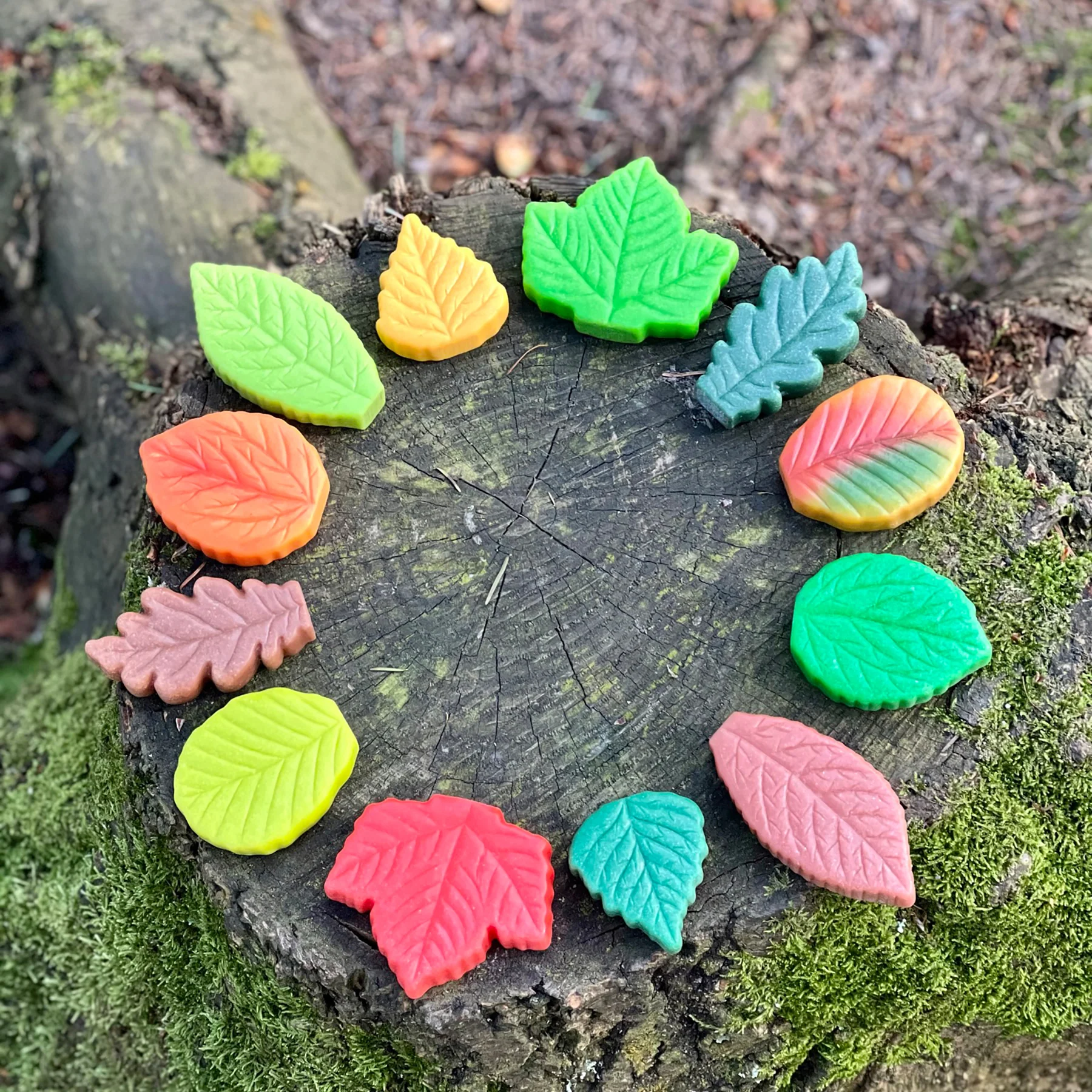 Yellow Door Sensory Play Stones - Autumn Leaves Collection, Set of 12 - Image 3