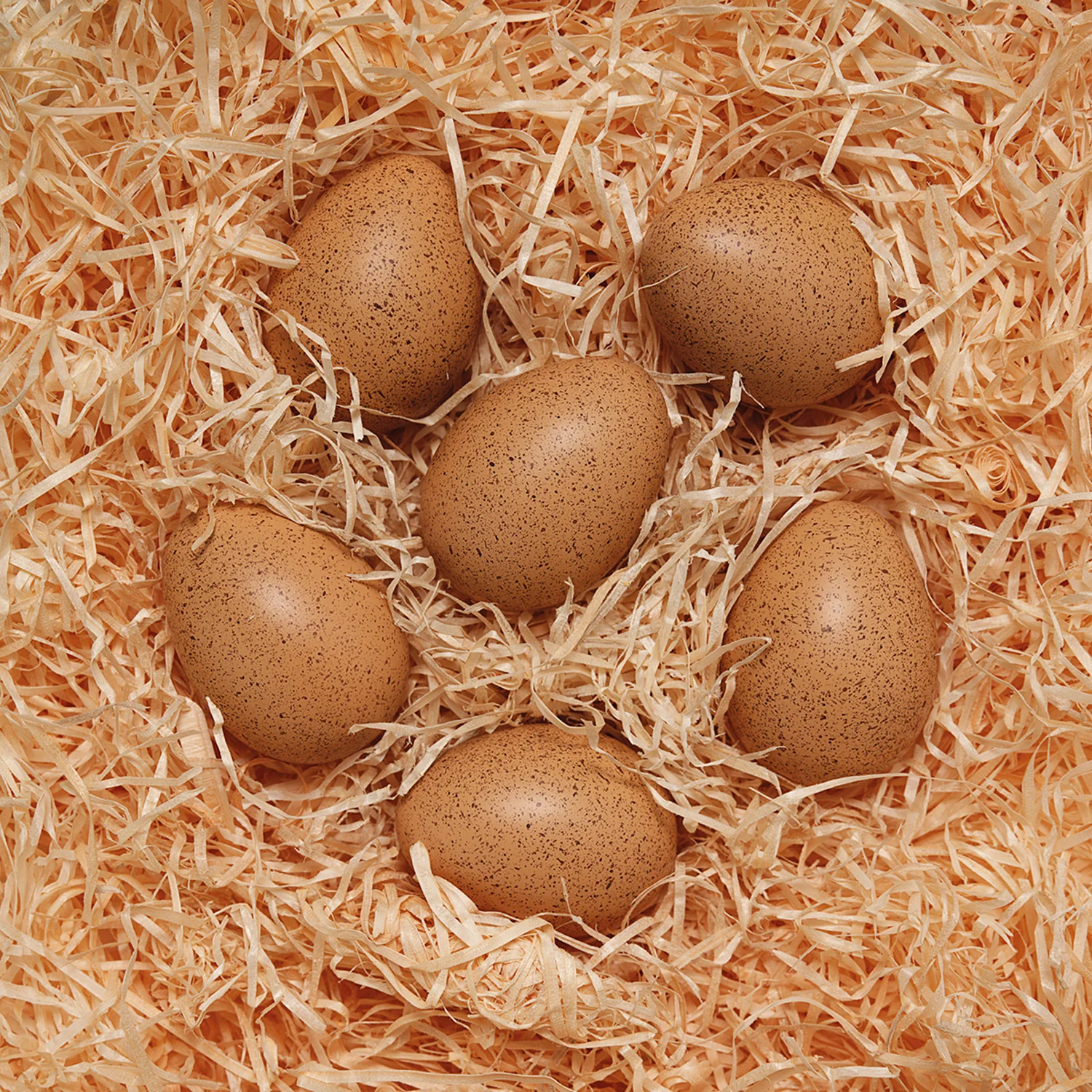 Yellow Door Sensory Sound Eggs ‚Äì Auditory Learning Toy - Image 2