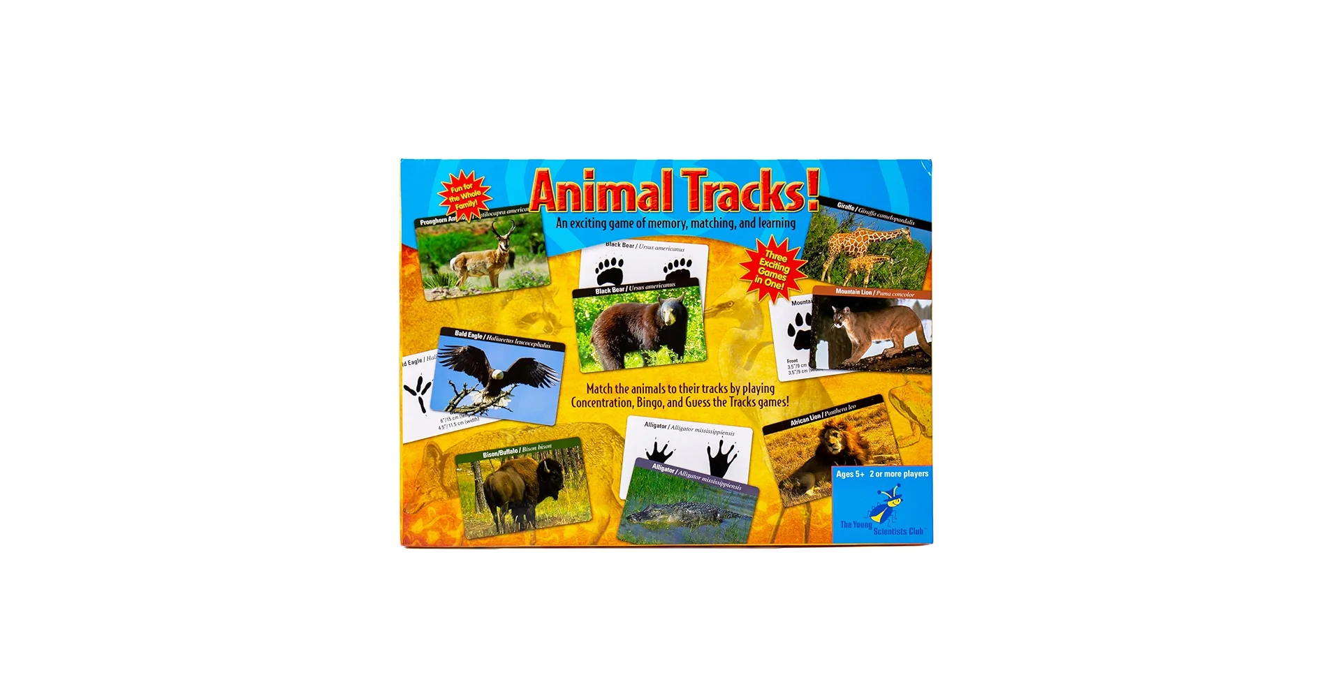 National Geographic Young Scientists Animal Tracks Game - Explore African Wildlife